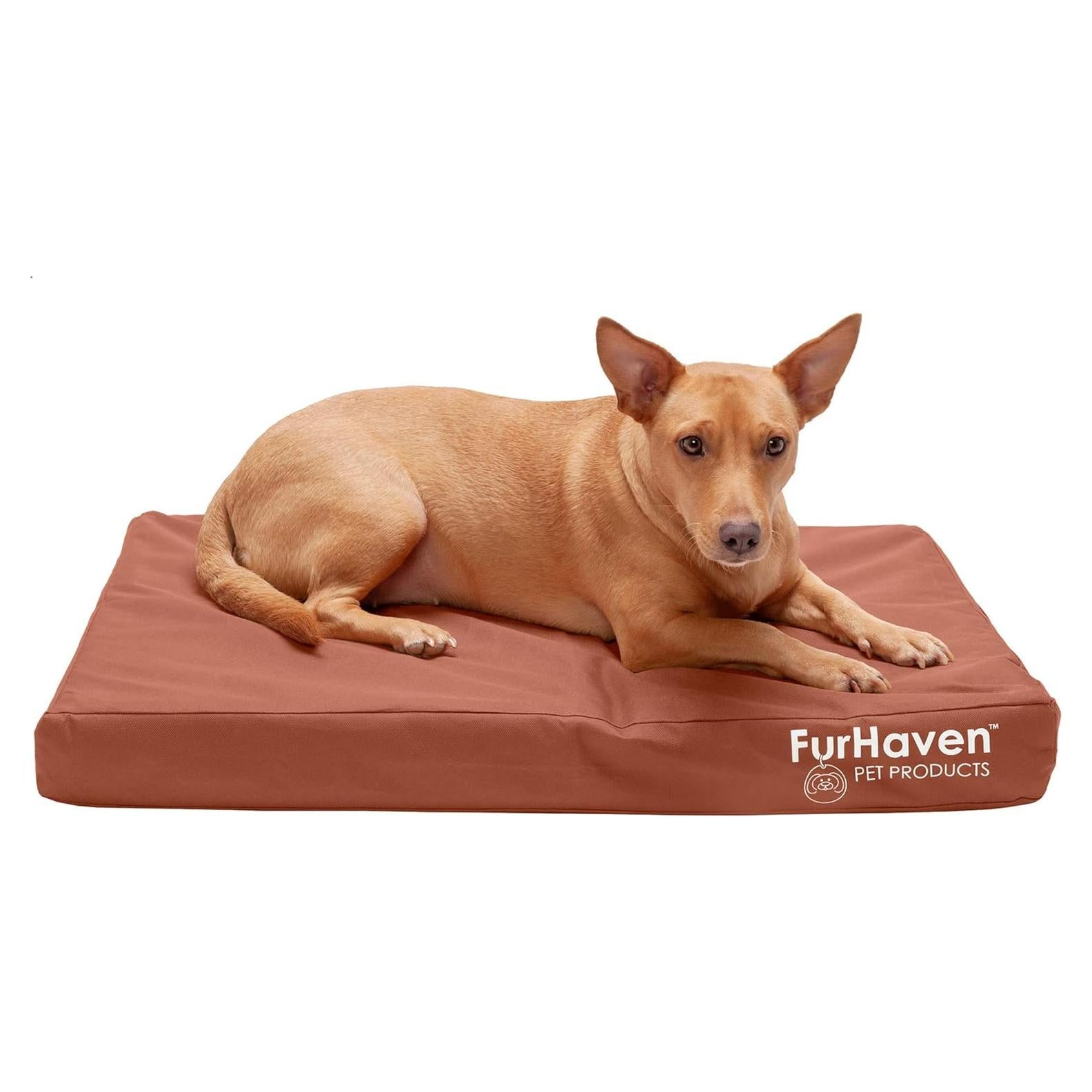 Cama ortopédica Furhaven para perros medianos - Castaño