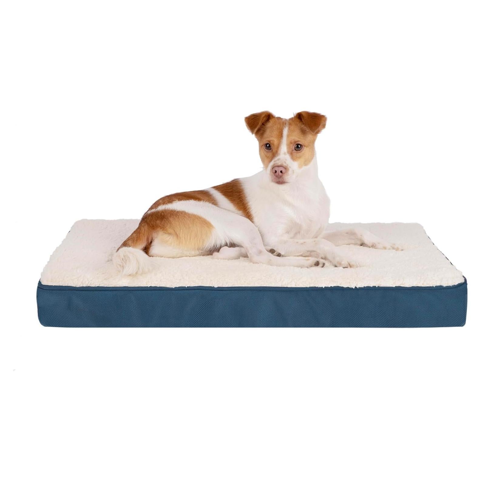 Cama para Perros Mejor Suministros - Almohadilla Ortopédica 61x41cm