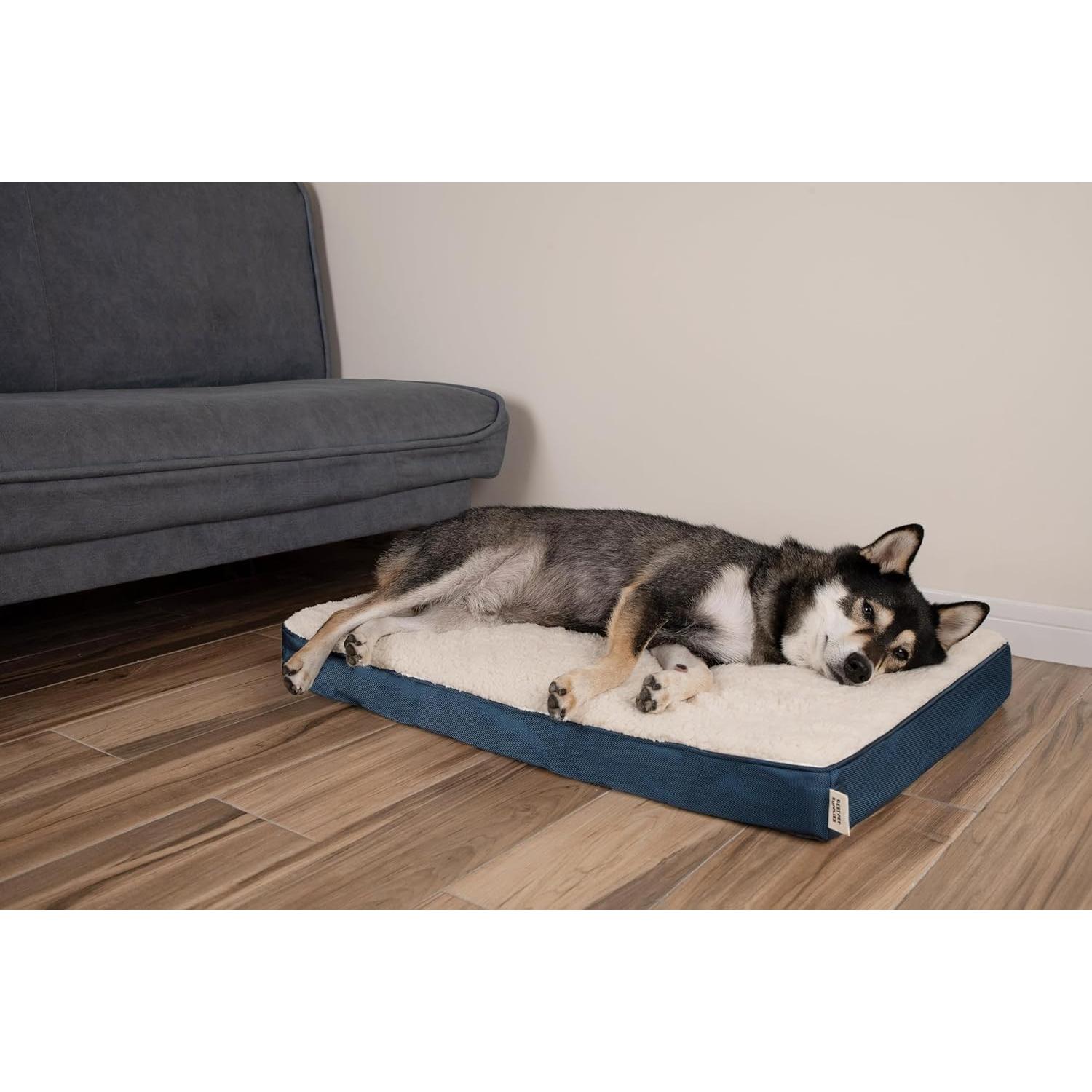Cama para Perros Mejor Suministros - Almohadilla Ortopédica 61x41cm