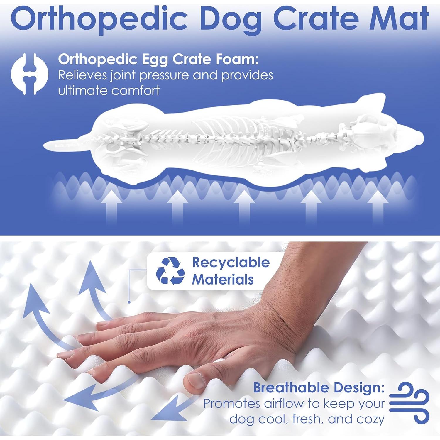 Mata Ortopédica de Espuma Memoria American Kennel Club 61x48 cm