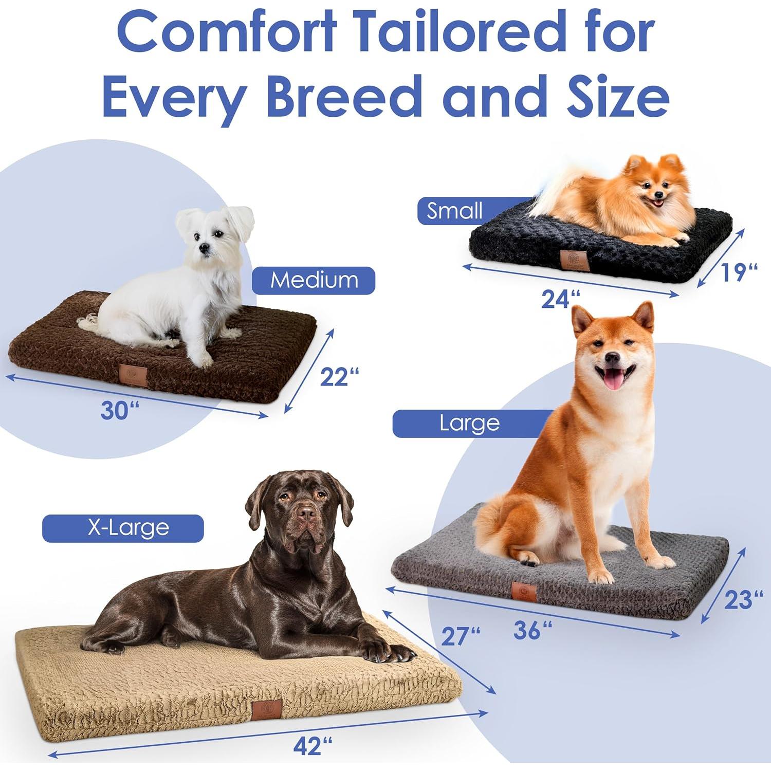 Mata Ortopédica de Espuma Memoria American Kennel Club 61x48 cm