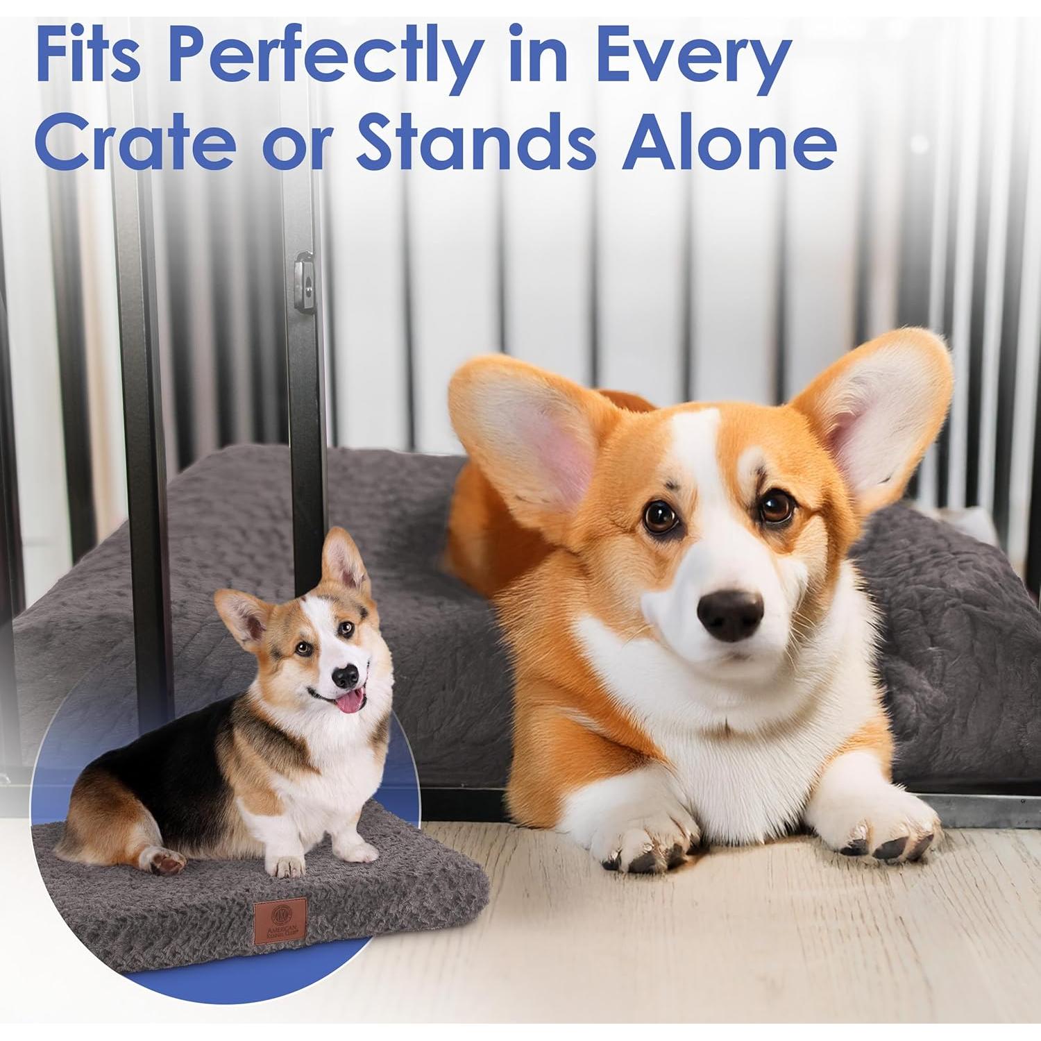 Mata Ortopédica de Espuma Memoria American Kennel Club 61x48 cm