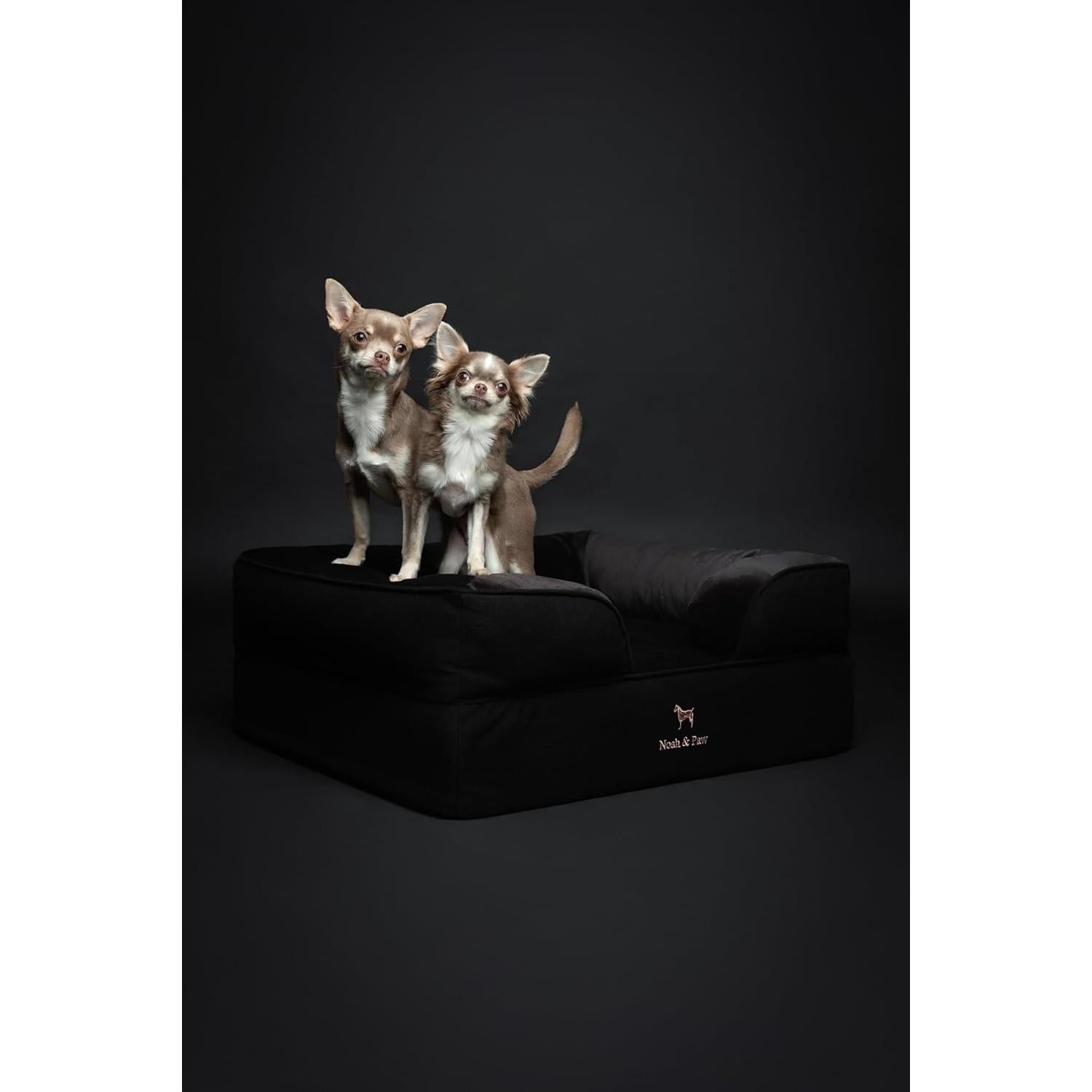 Cama Ortopédica para Perros NOAH & PAW Mediana 71x58 cm