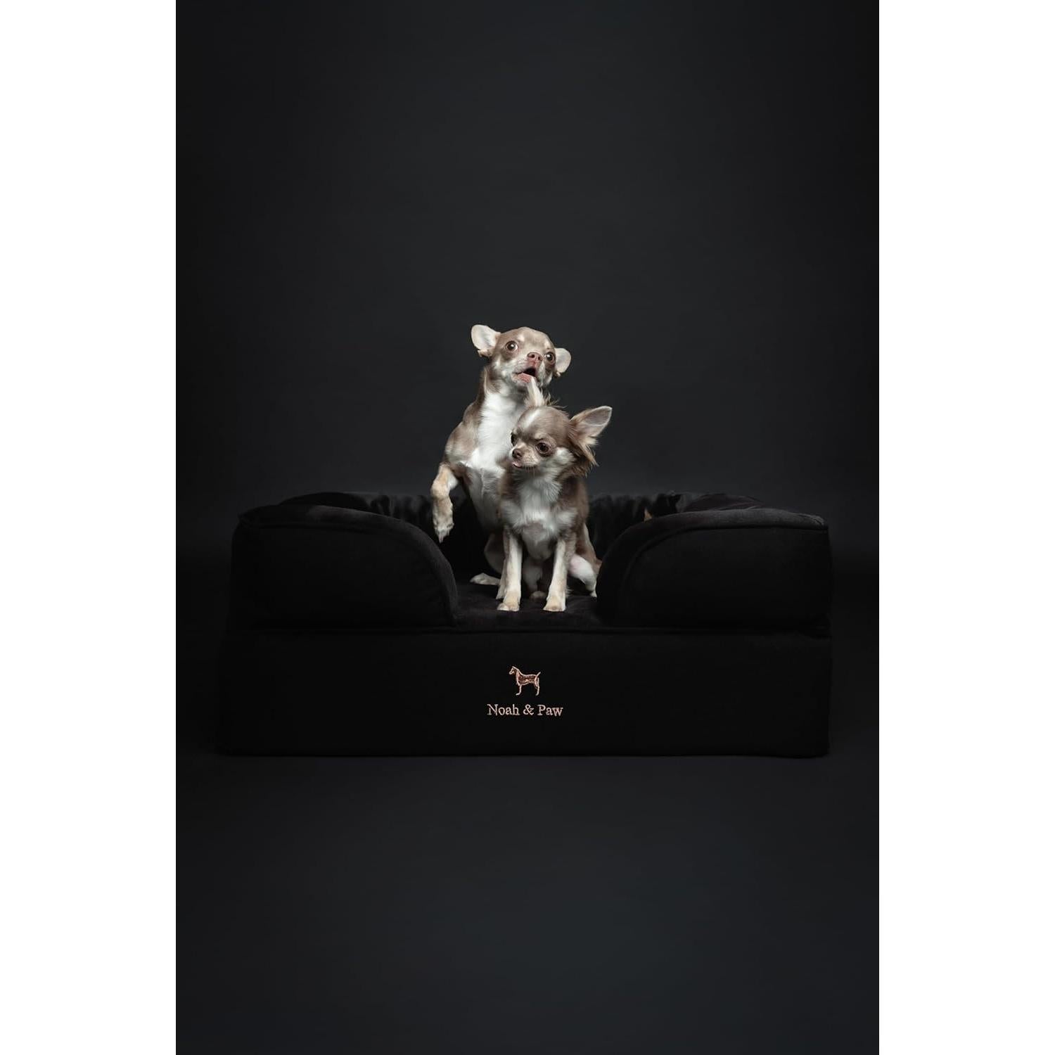 Cama Ortopédica para Perros NOAH & PAW Mediana 71x58 cm