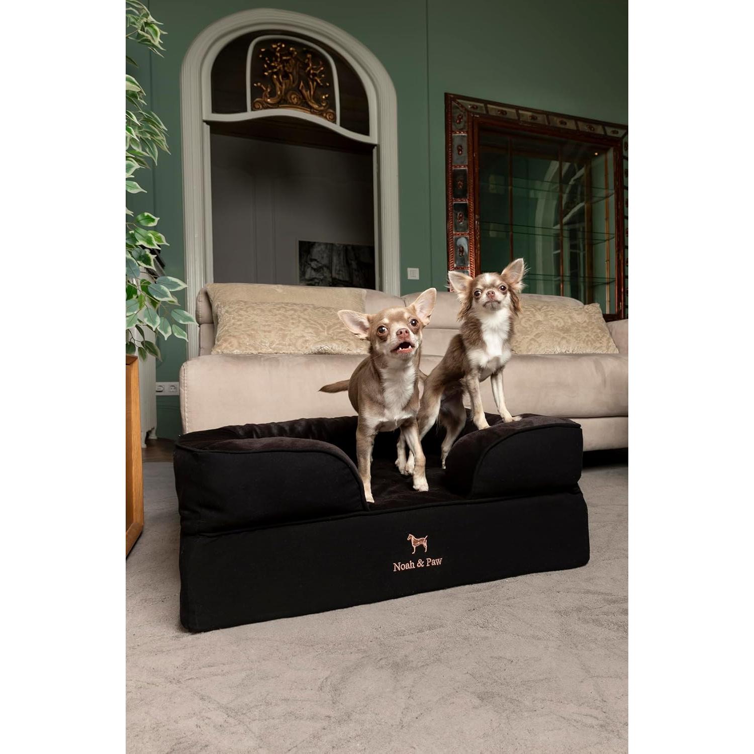 Cama Ortopédica para Perros NOAH & PAW Mediana 71x58 cm
