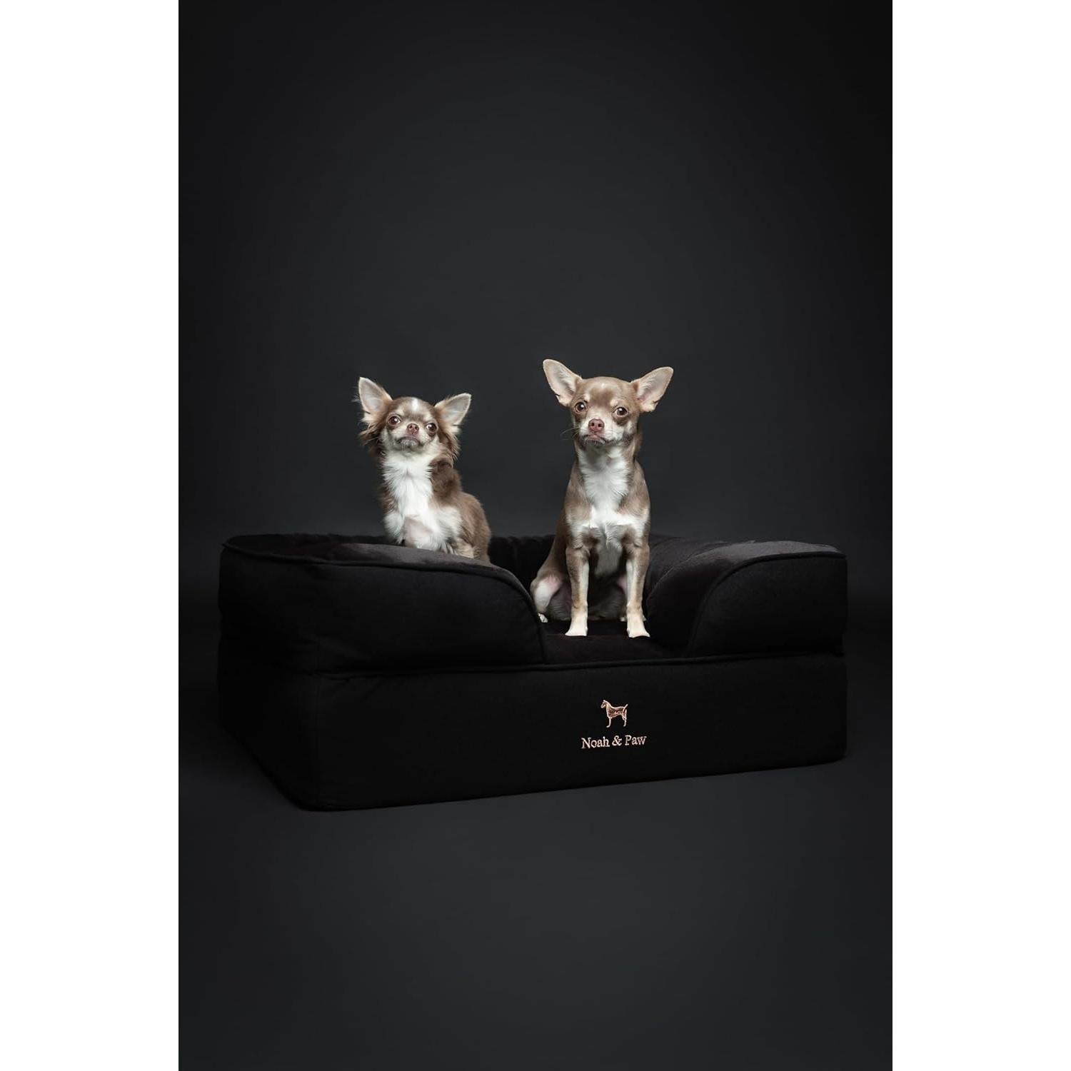 Cama Ortopédica para Perros NOAH & PAW Mediana 71x58 cm