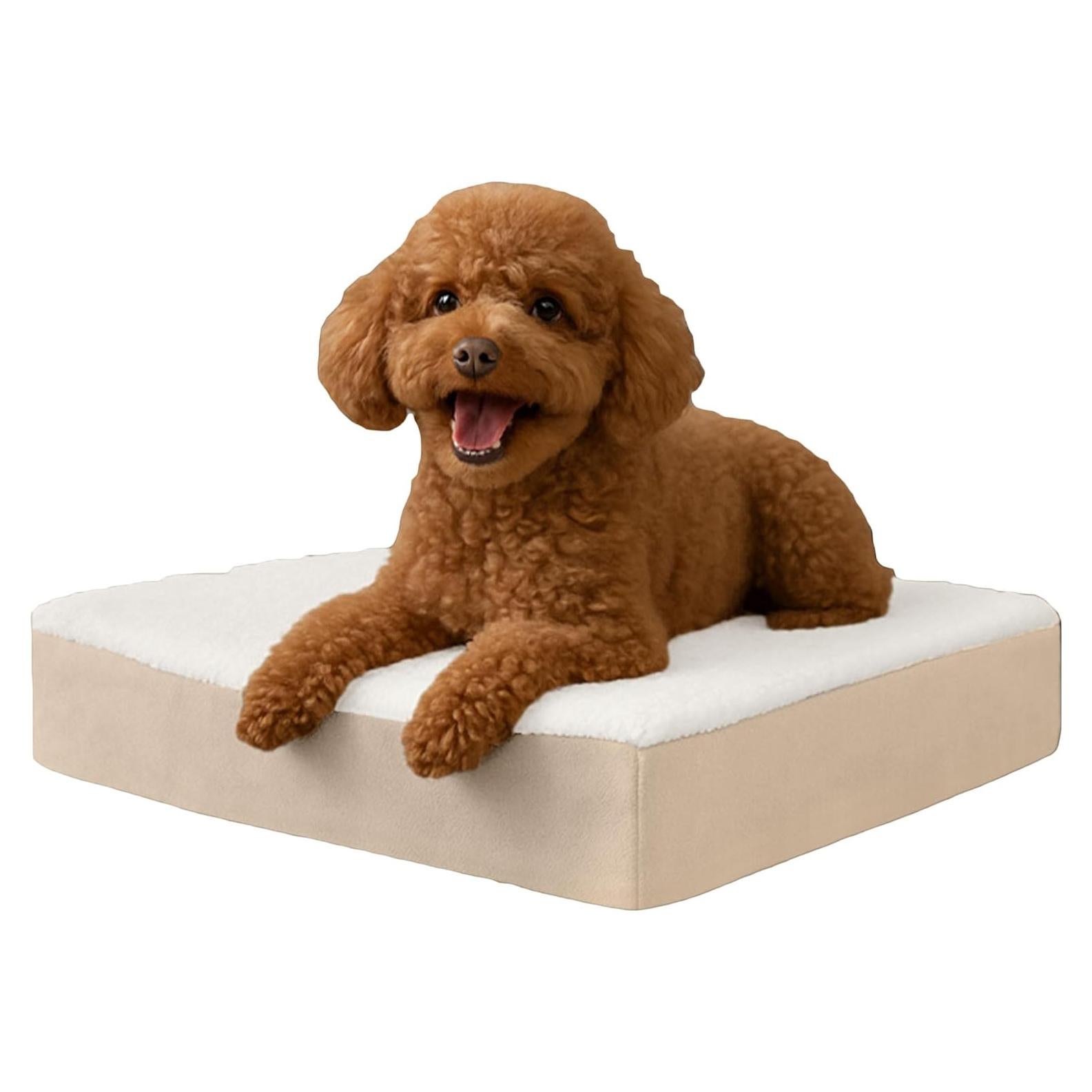 Cama Ortopédica para Perros PETMAKER 50x38cm Beige