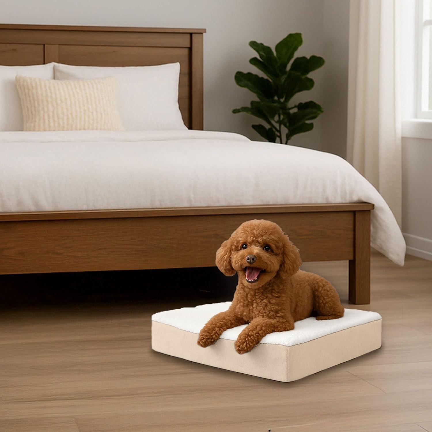 Cama Ortopédica para Perros PETMAKER 50x38cm Beige