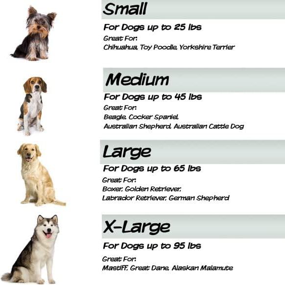 Cama Ortopédica para Perros PETMAKER 50x38cm Beige