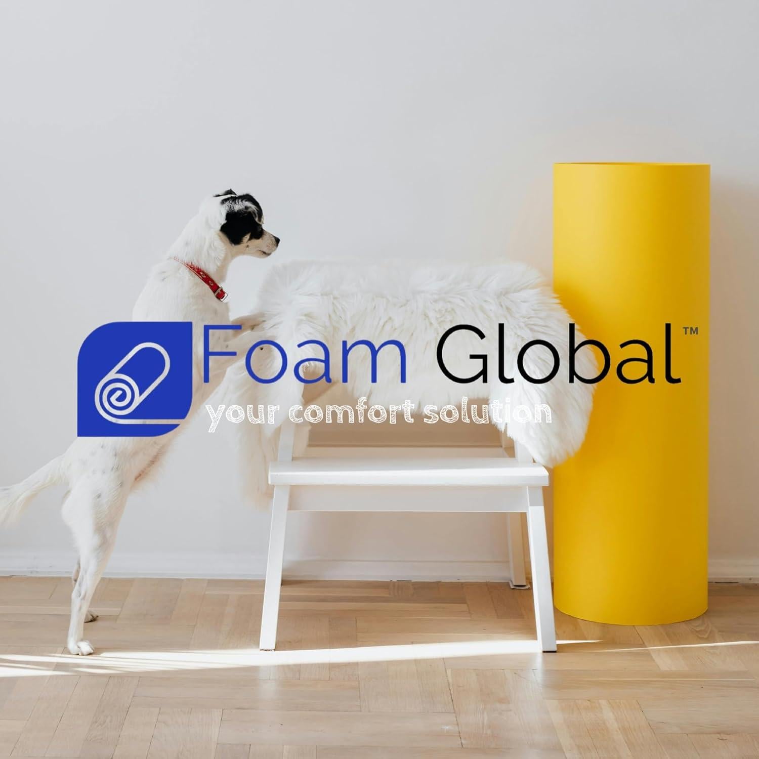 Cama para Perros Foam Global 86x66cm Espuma Ortopédica