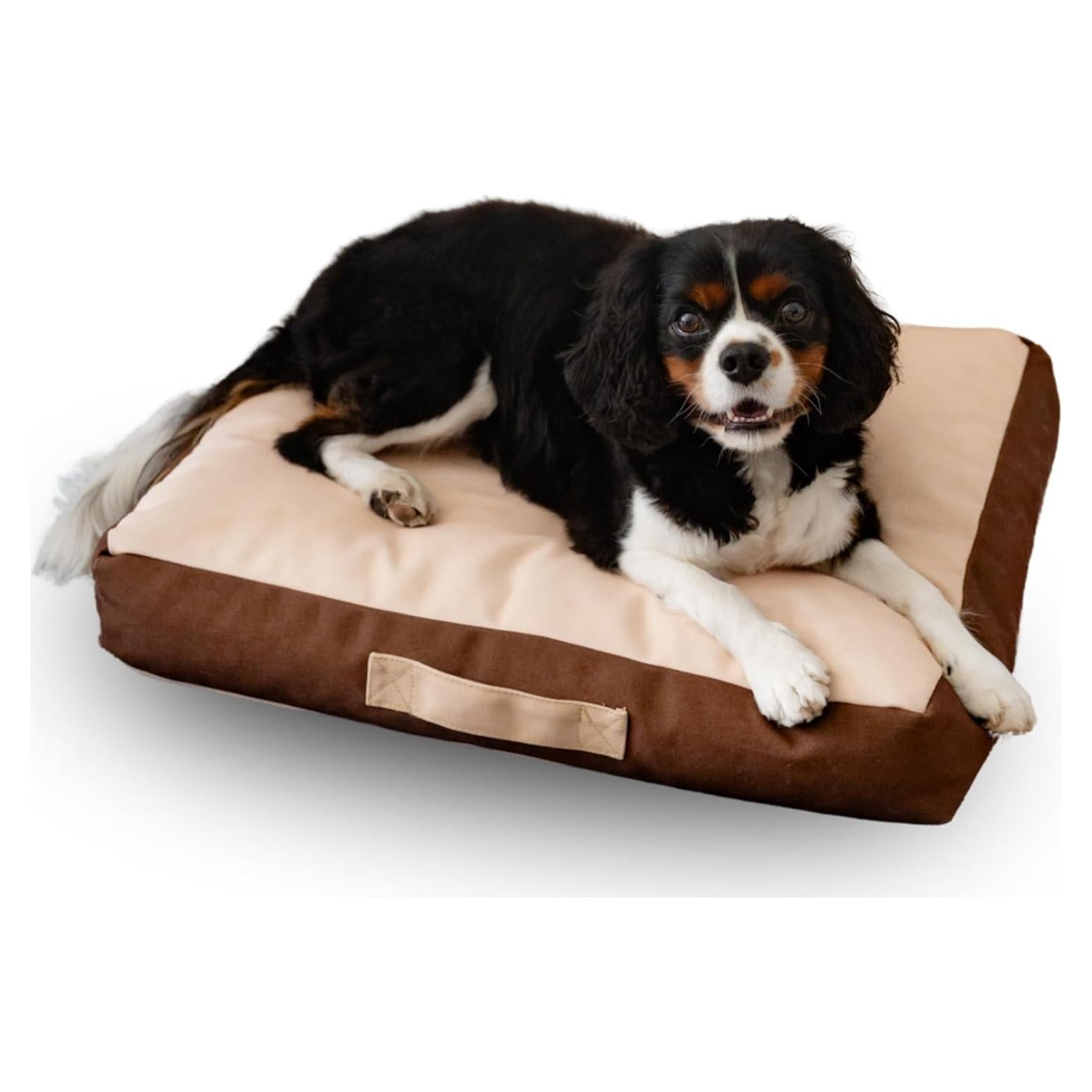 Cama Ortopédica para Perros Rawry Pequeña 60 x 46 cm Espuma Viscoelástica