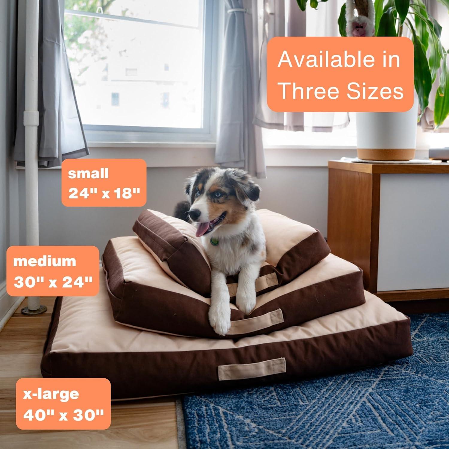 Cama Ortopédica para Perros Rawry Pequeña 60 x 46 cm Espuma Viscoelástica