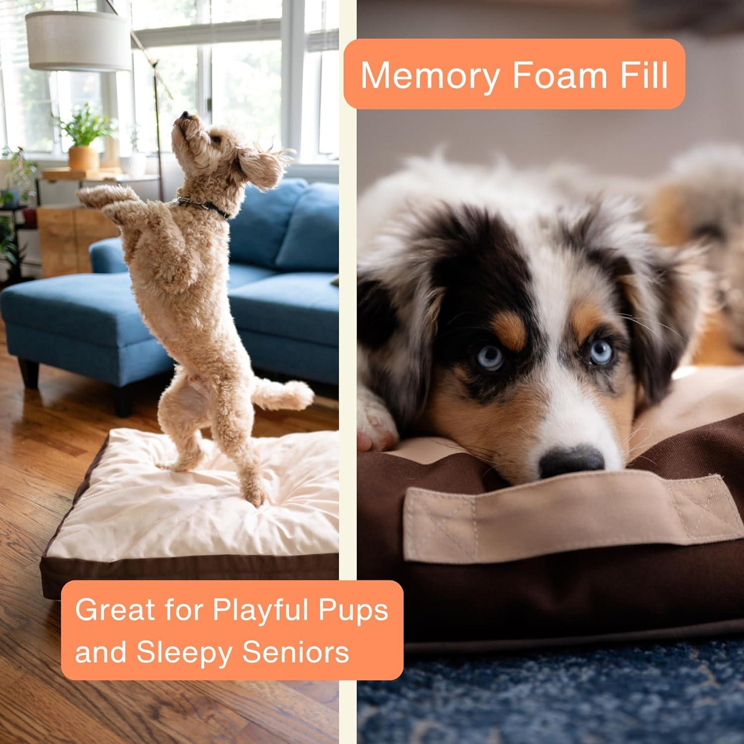 Cama Ortopédica para Perros Rawry Pequeña 60 x 46 cm Espuma Viscoelástica