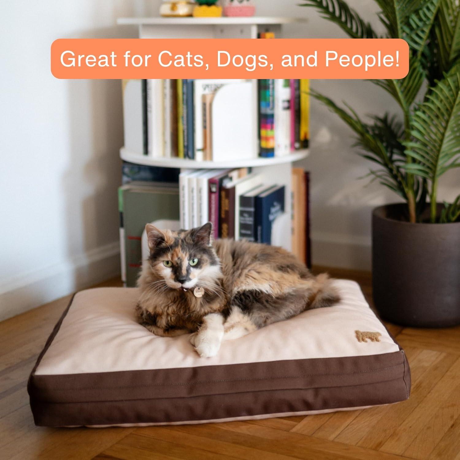 Cama Ortopédica para Perros Rawry Pequeña 60 x 46 cm Espuma Viscoelástica