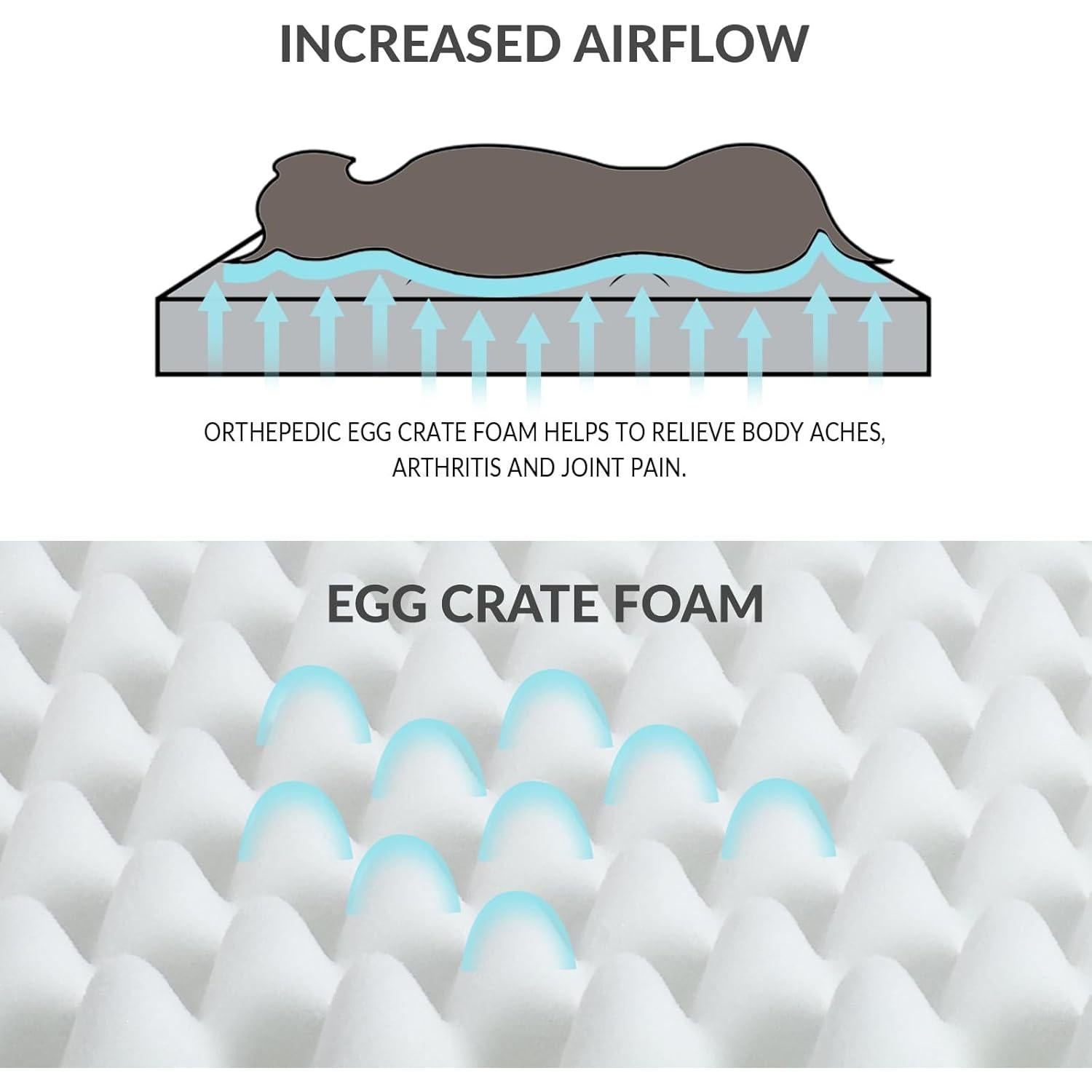 Cama Ortopédica para Perros Patas Lague 91.44x60.96cm Negra