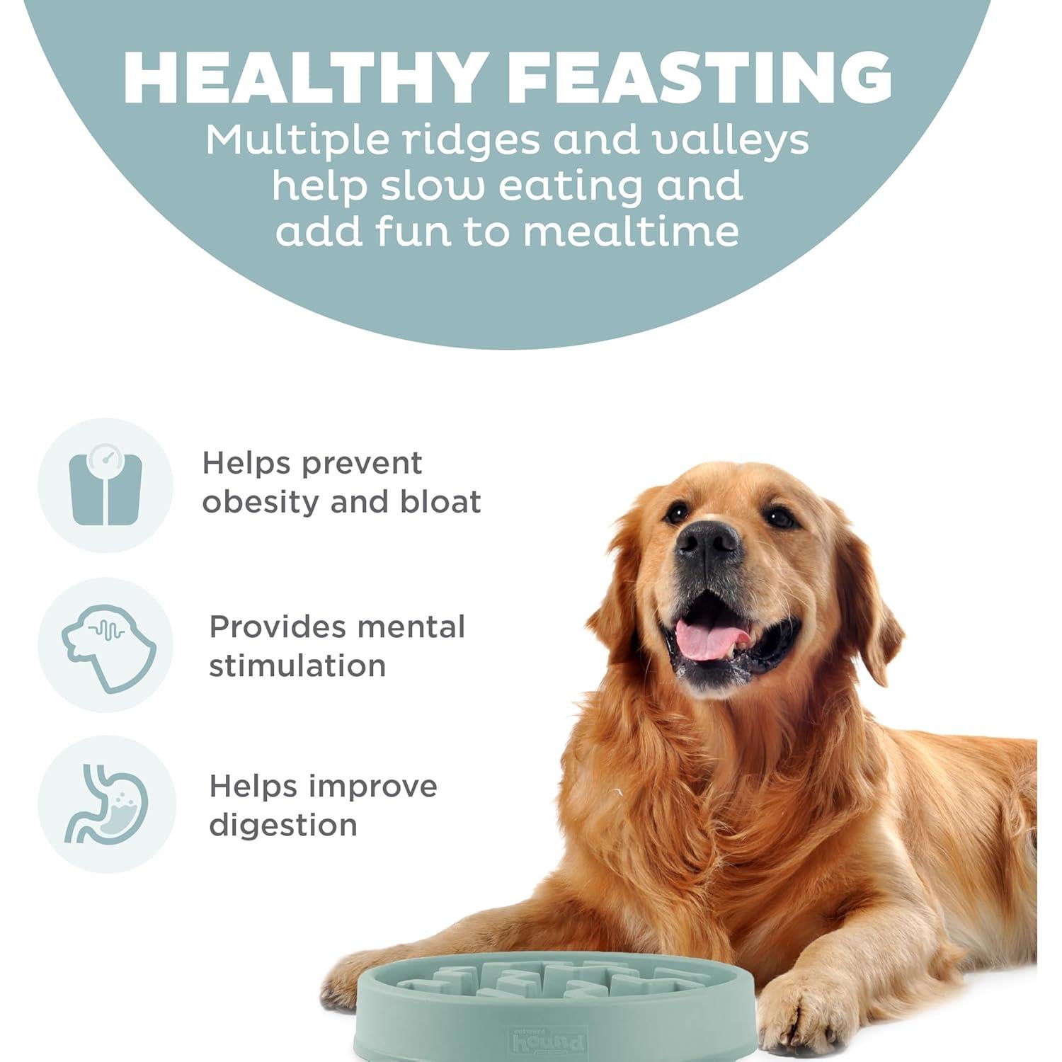 Cuenco Antideslizante Grande para Perros Outward Hound 4 Tazas