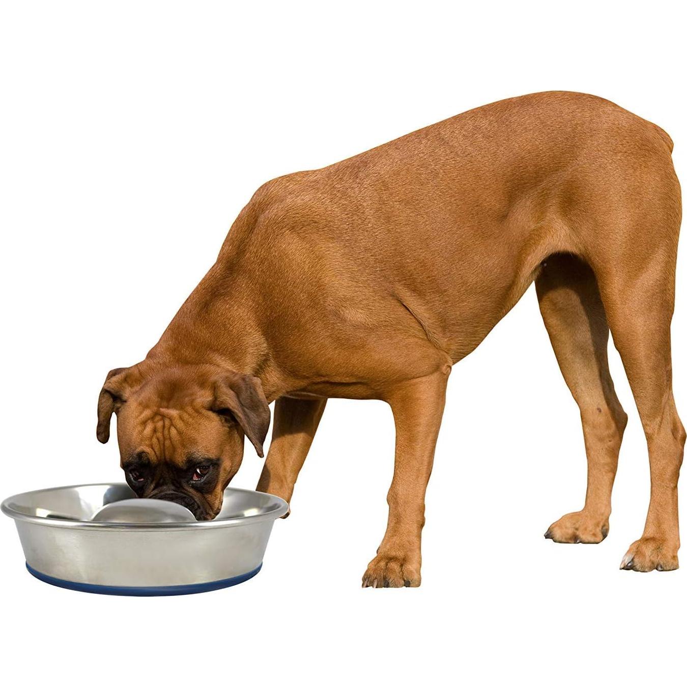 Cuenco de Alimentación Lenta para Perros Durapet Acero Inoxidable Grande