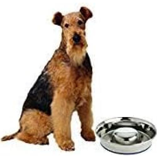 Cuenco de Alimentación Lenta para Perros Durapet Acero Inoxidable Grande