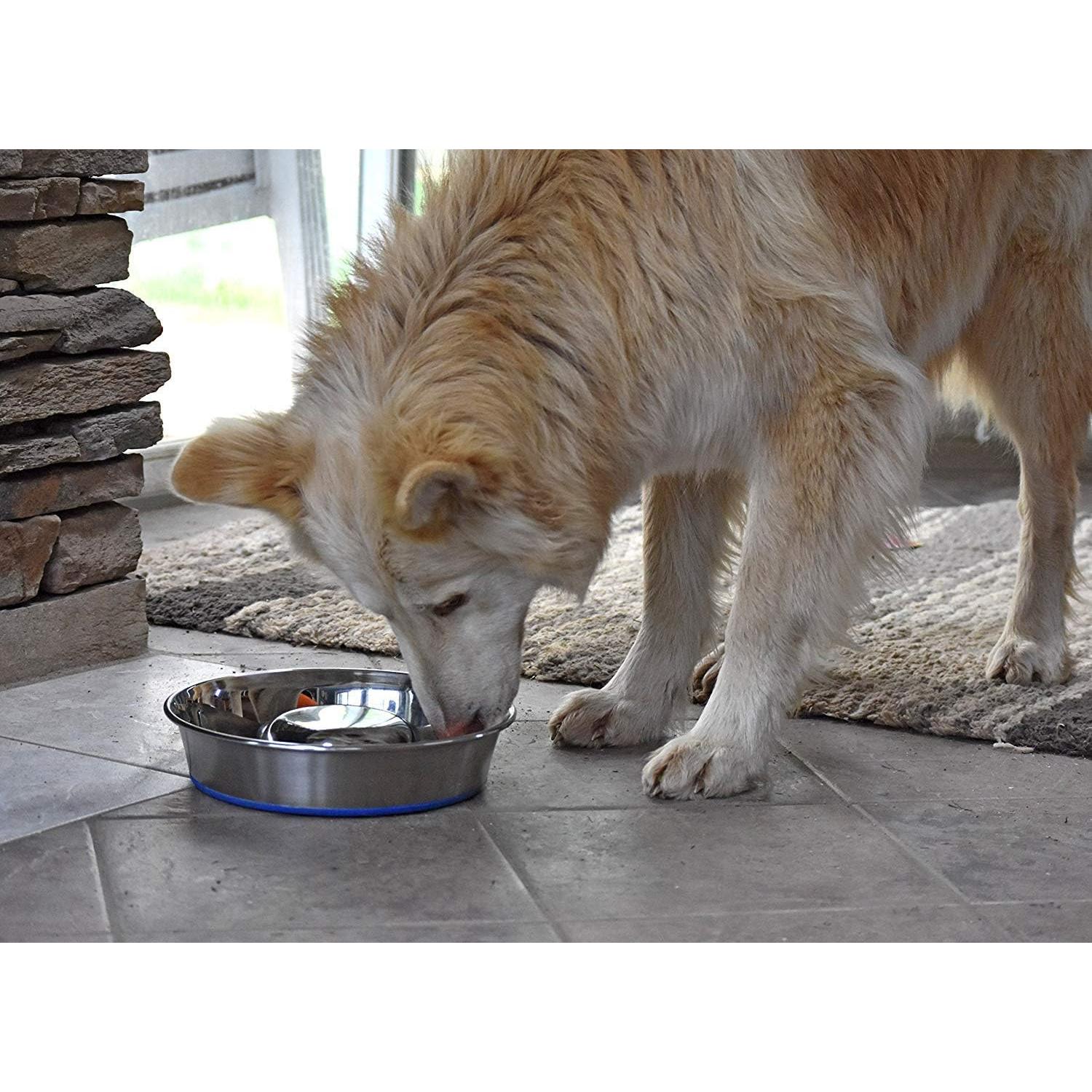 Cuenco de Alimentación Lenta para Perros Durapet Acero Inoxidable Grande