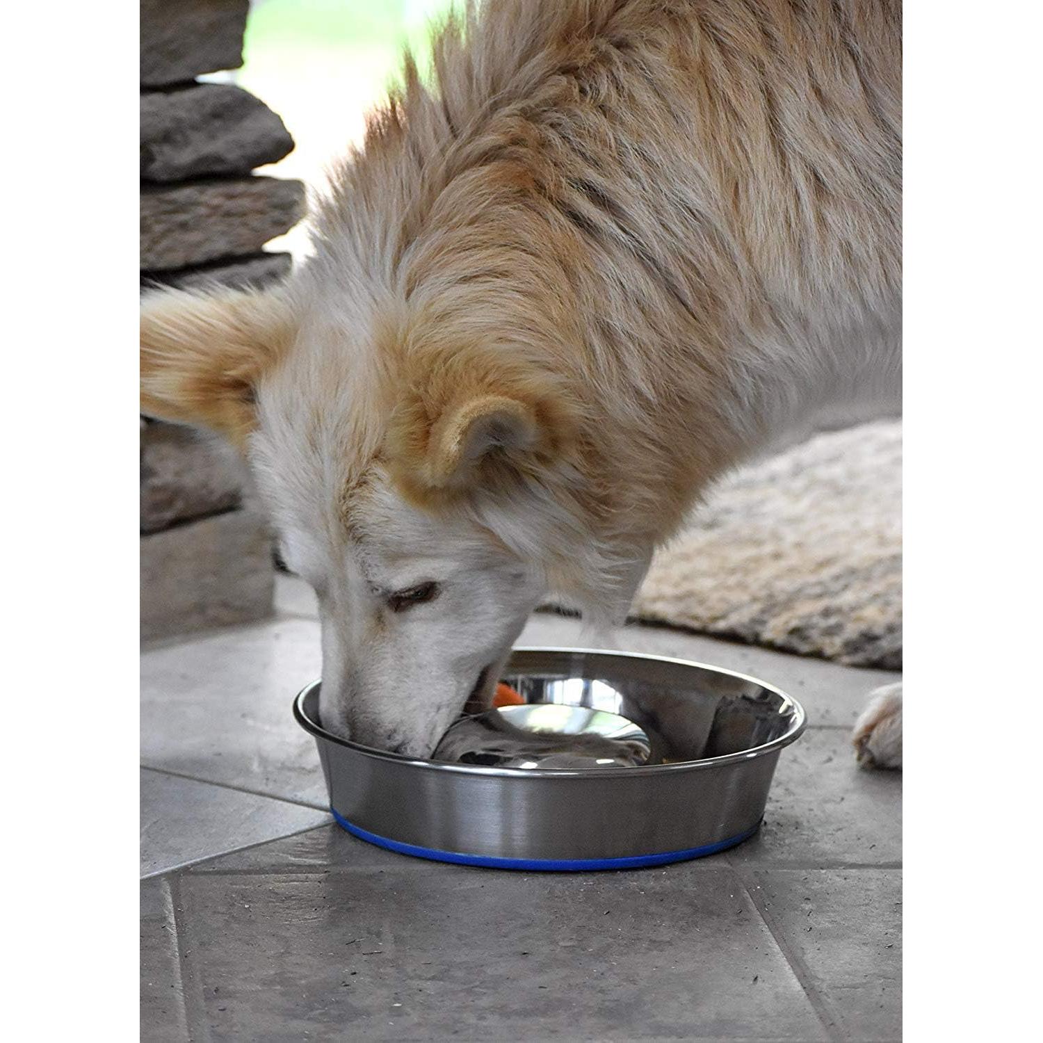 Cuenco de Alimentación Lenta para Perros Durapet Acero Inoxidable Grande