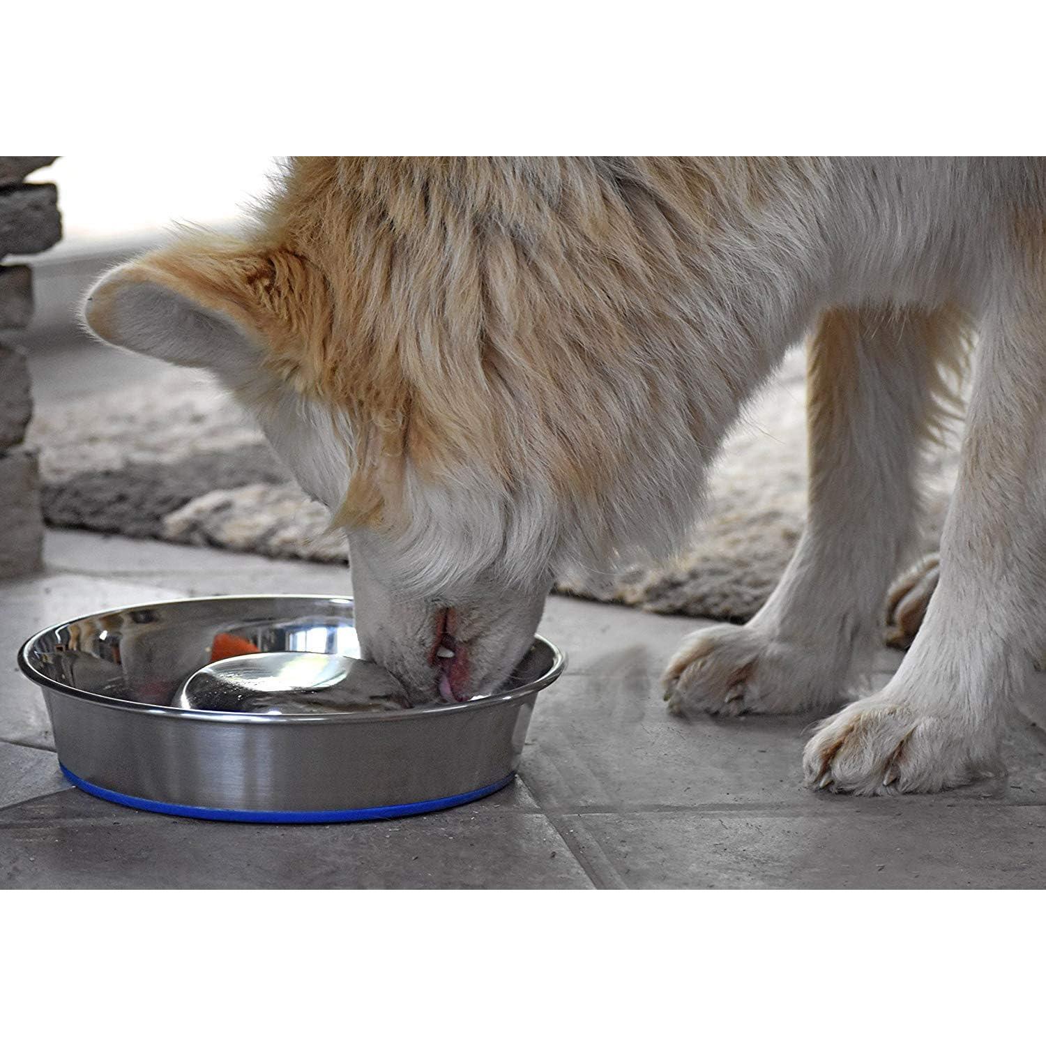 Cuenco de Alimentación Lenta para Perros Durapet Acero Inoxidable Grande