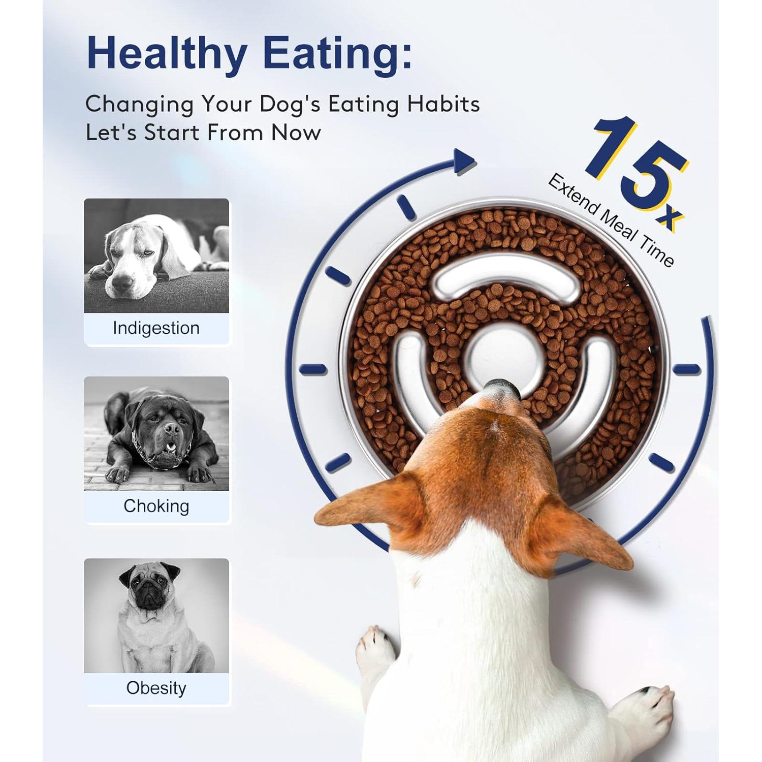 Cuenco Antideslizante de Acero Inoxidable AIPERRO 2 Tazas