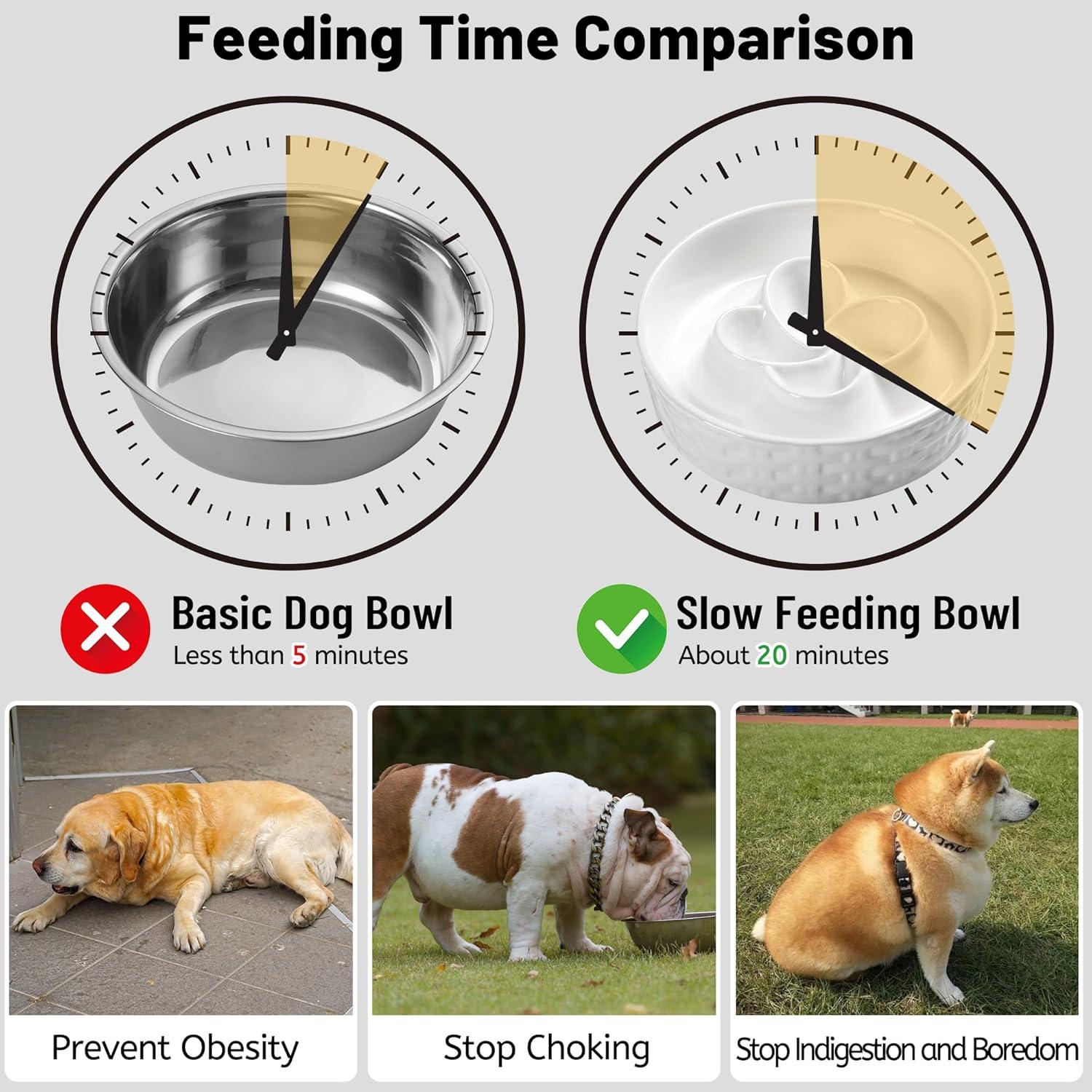 Cuenco de Cerámica Antideslizante para Perros Kitwinney 20.32 cm