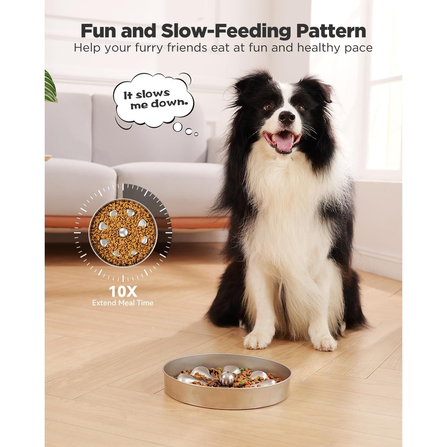 Cuenco de Alimentación Lenta Oiwliur Acero Inoxidable 5 Tazas