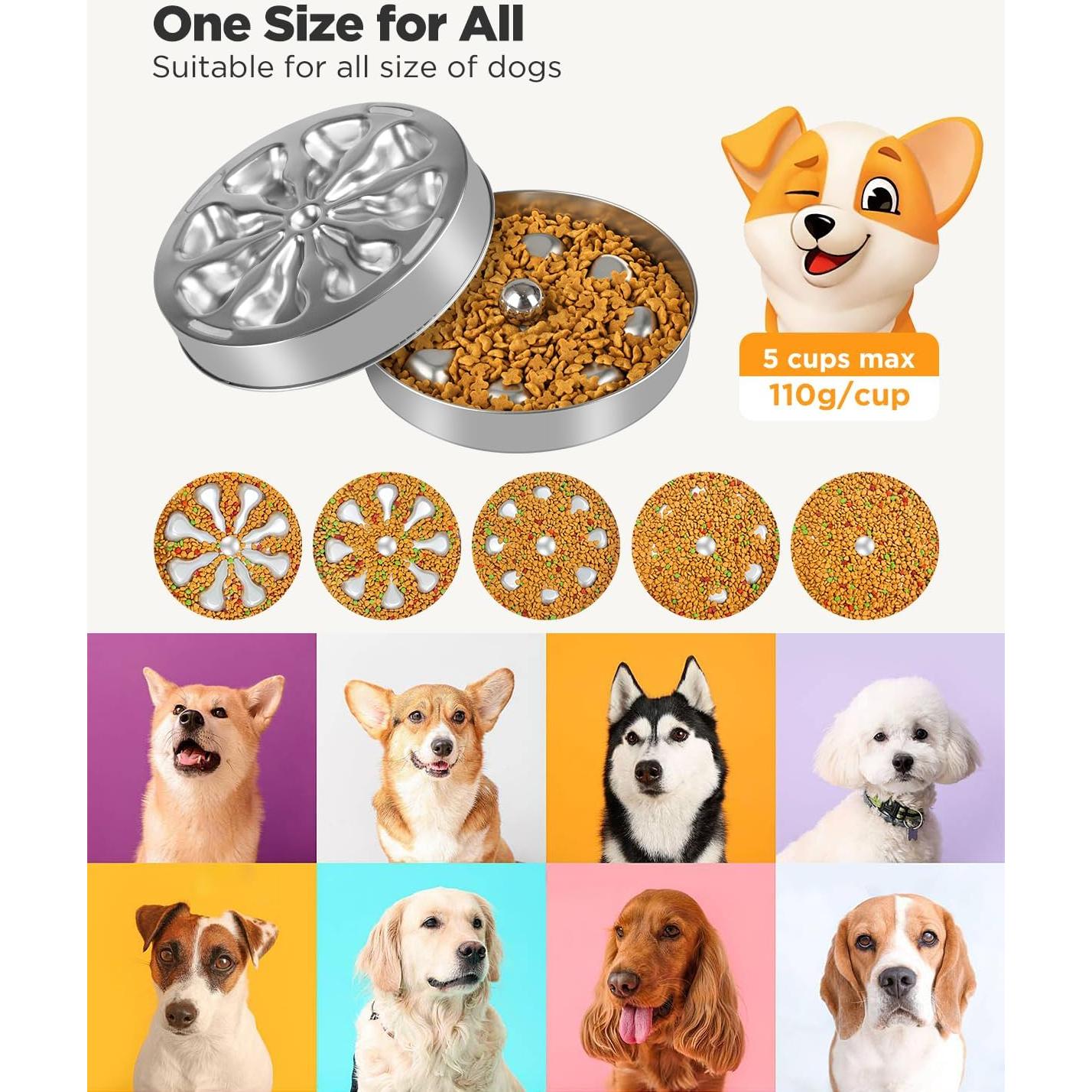 Cuenco de Alimentación Lenta Oiwliur Acero Inoxidable 5 Tazas