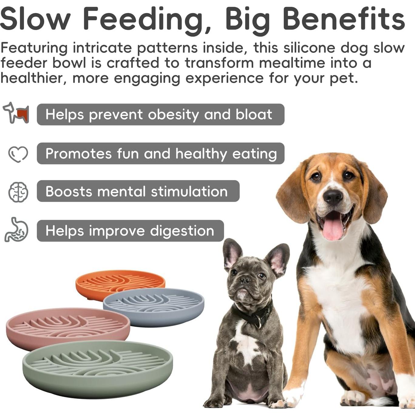 Cuenco de Comida Lenta AXEFUN Silicona Antideslizante 19cm