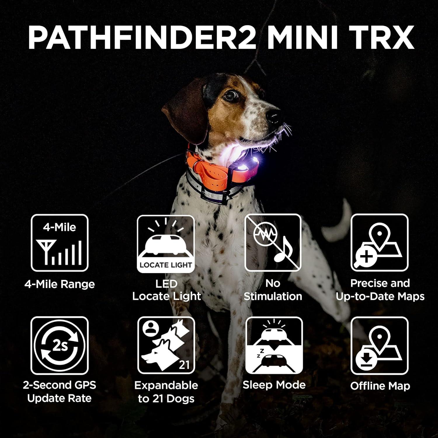 Receptor GPS Dogtra Pathfinder 2 Mini TRX para Perros Azul