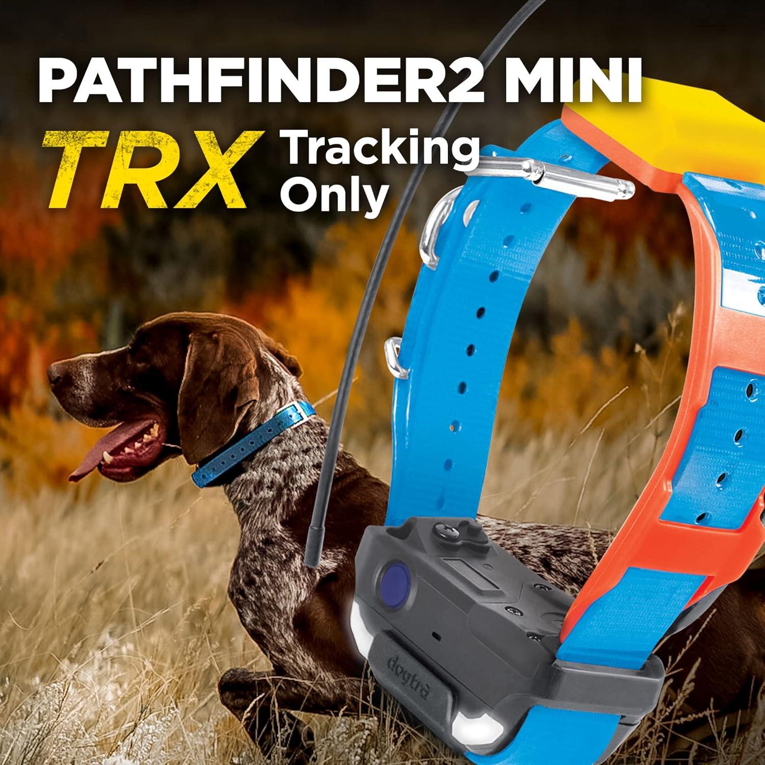 Receptor GPS Dogtra Pathfinder 2 Mini TRX para Perros Azul