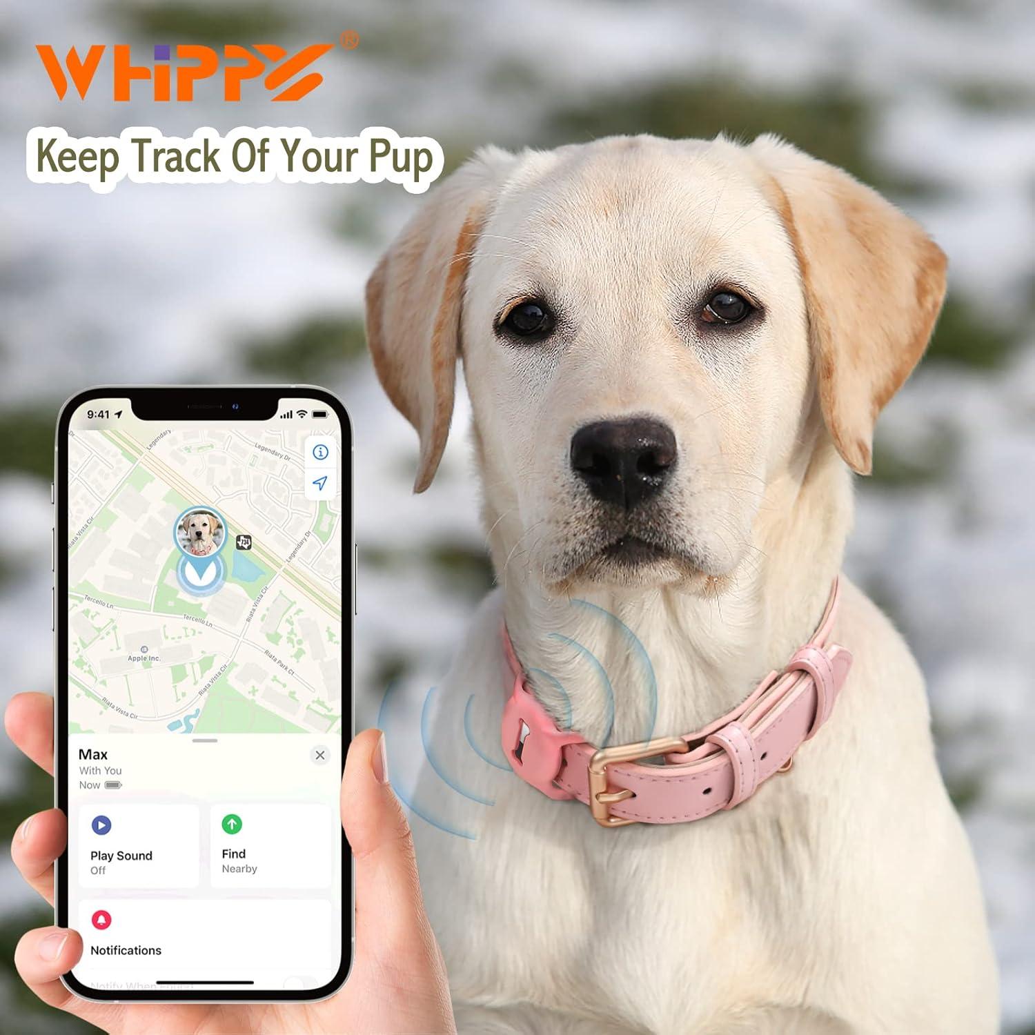 Collar de Perro de Cuero WHIPPY con Funda para AirTag Rosa L