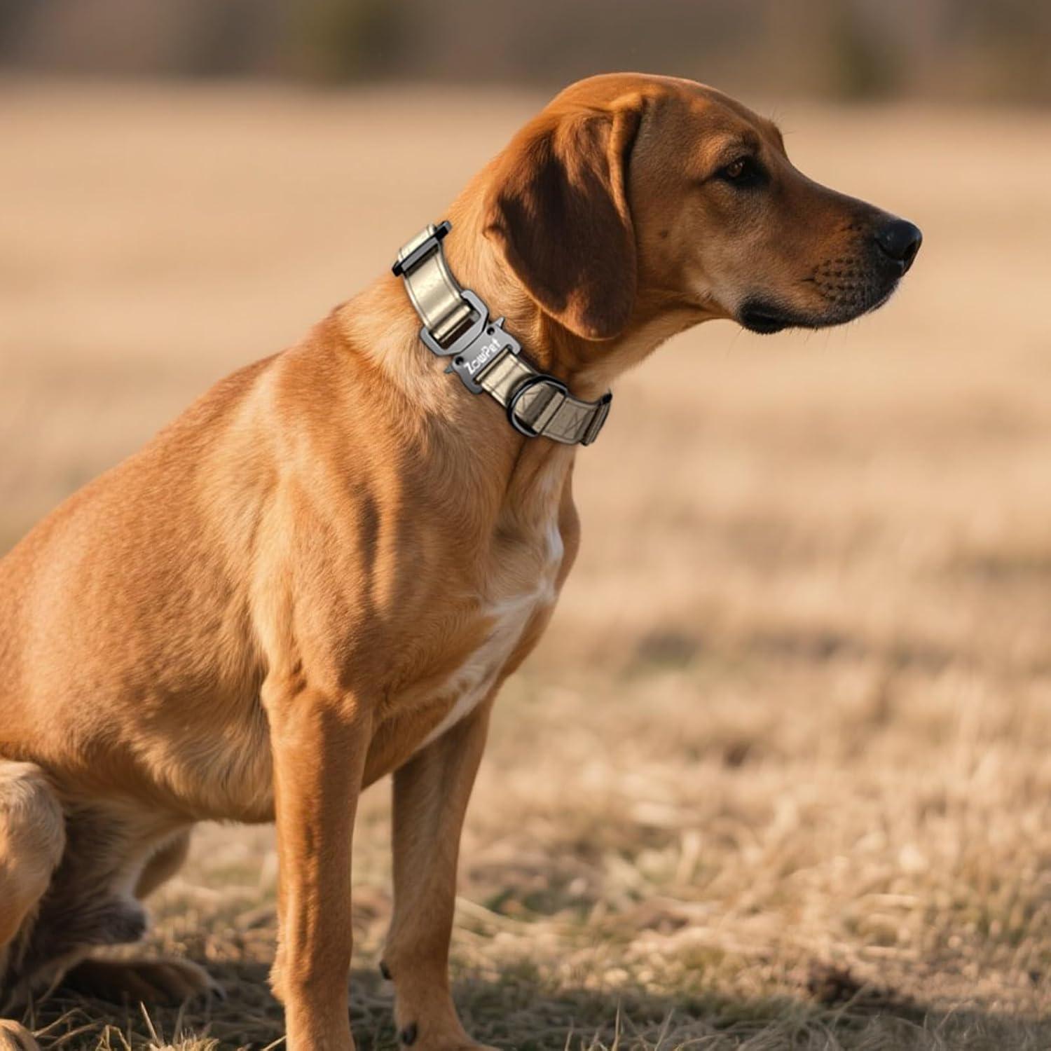 Collar de Cuero para Perro Zowpet con Soporte AirTag M Oro Champán