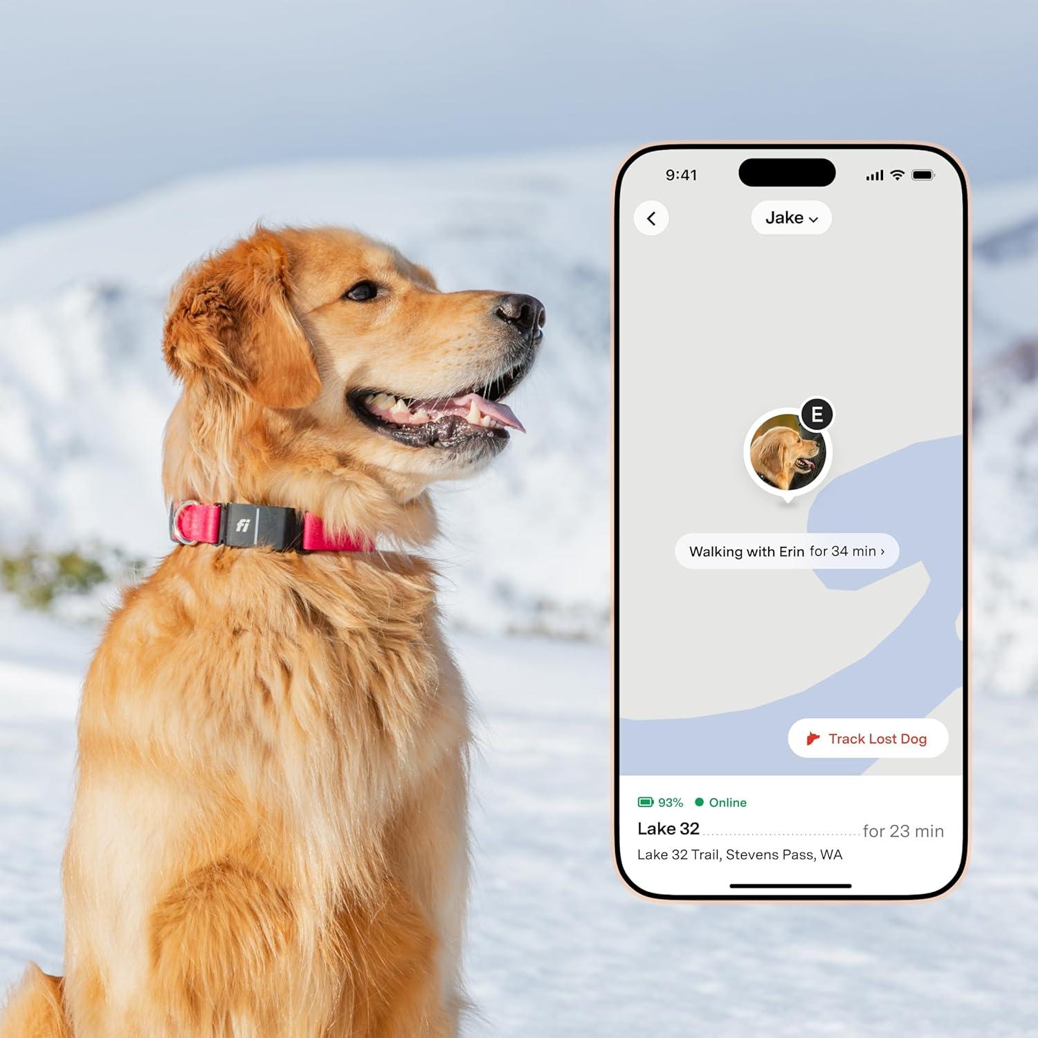 Collar Inteligente para Perros Fi Serie 3+ - GPS, Salud y Alertas