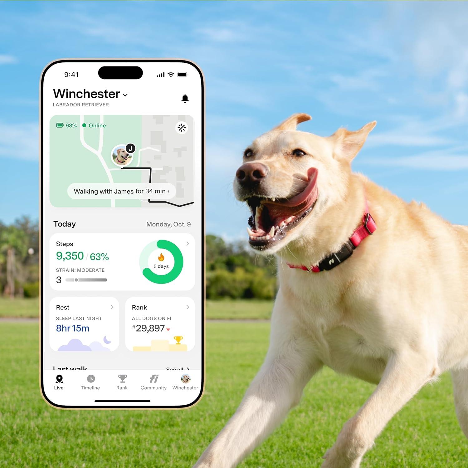 Collar Inteligente para Perros Fi Serie 3+ - GPS, Salud y Alertas