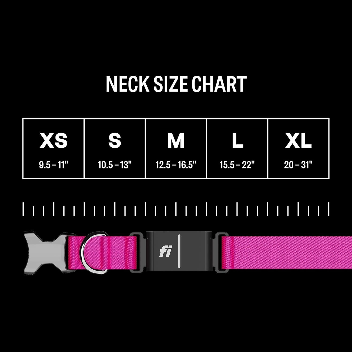 Collar Inteligente para Perros Fi Serie 3+ - GPS, Salud y Alertas