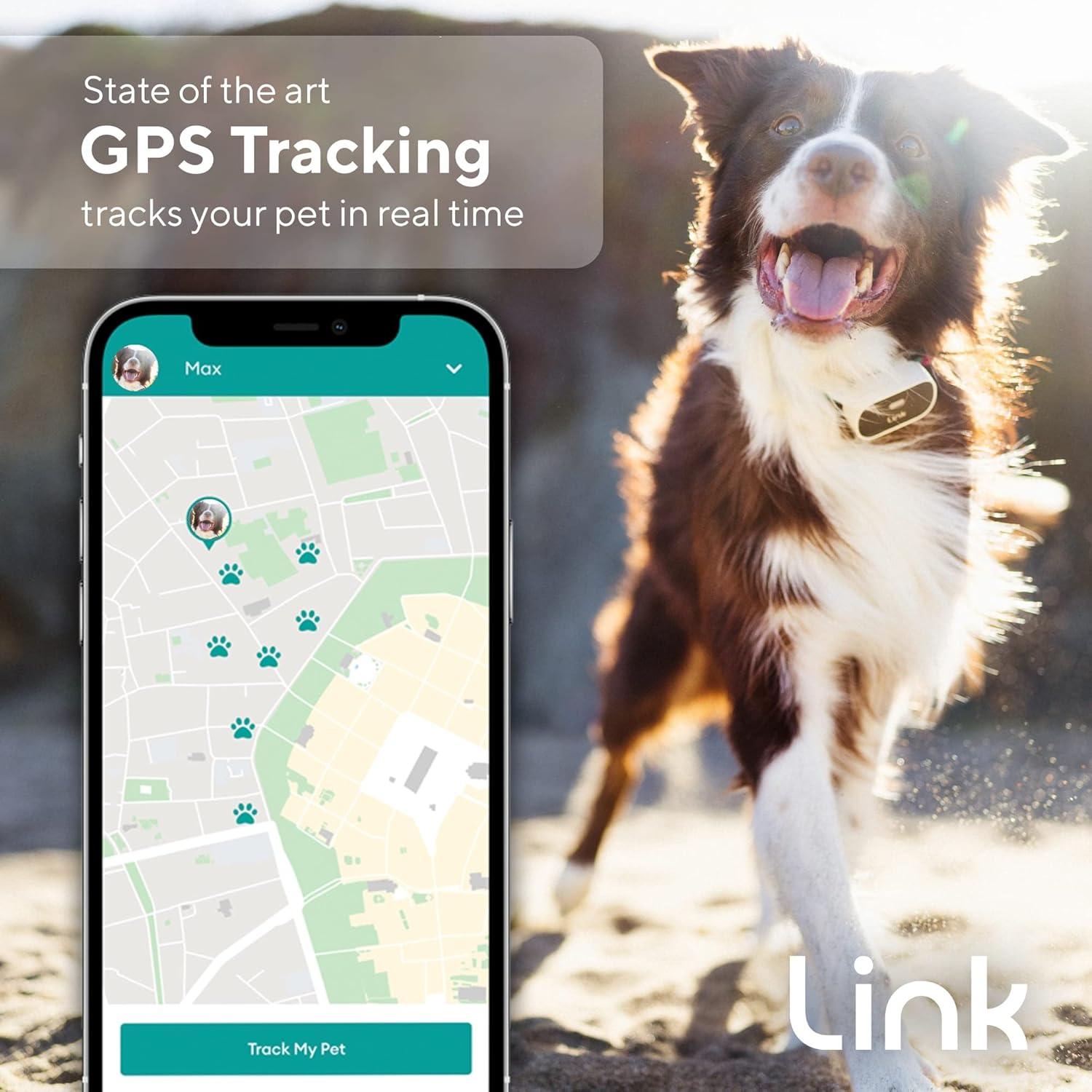 Rastreador GPS para Perros Link My Pet - Salud y Actividad