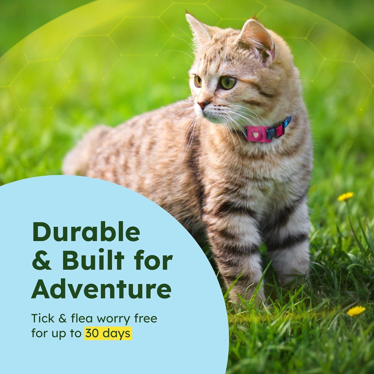 Pulsera Antipulgas BugMD Rosa - Paquete de 3 con Soporte AirTag