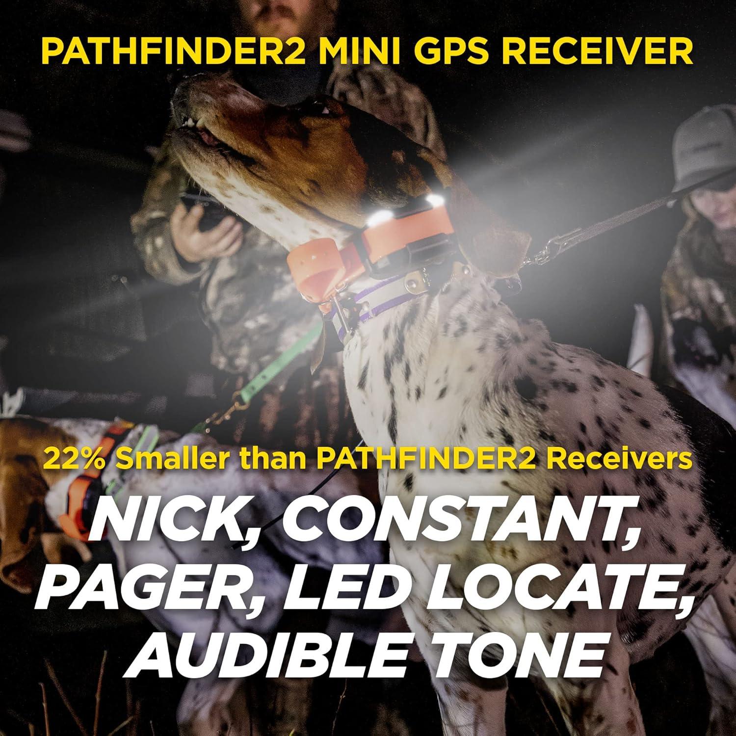 Receptor GPS Dogtra PATHFINDER2 MINI para Perros con Luz LED