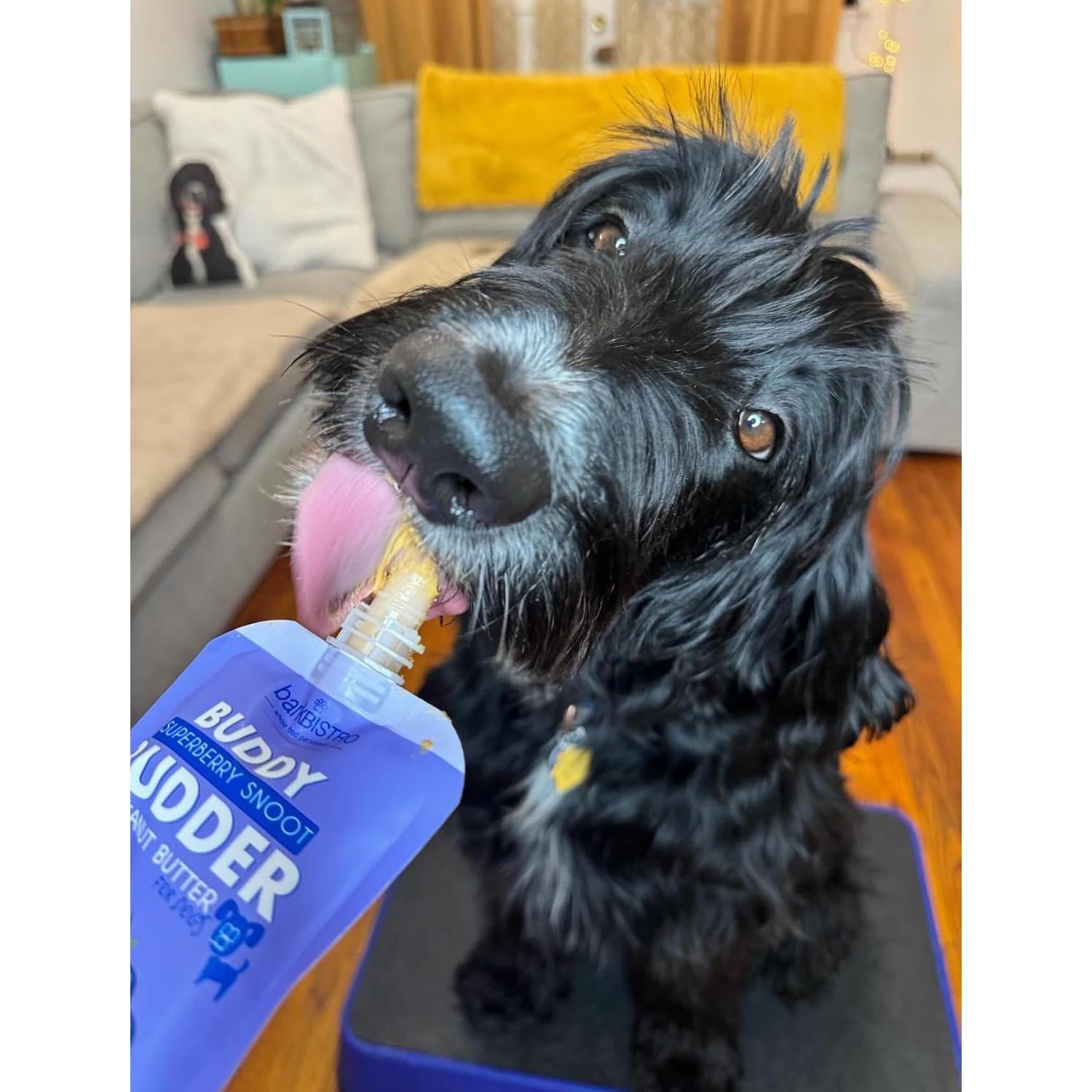 Juego de Tapete de Enriquecimiento para Perros Bark Bistro con Mantequilla de Maní Superberry 113.4 g