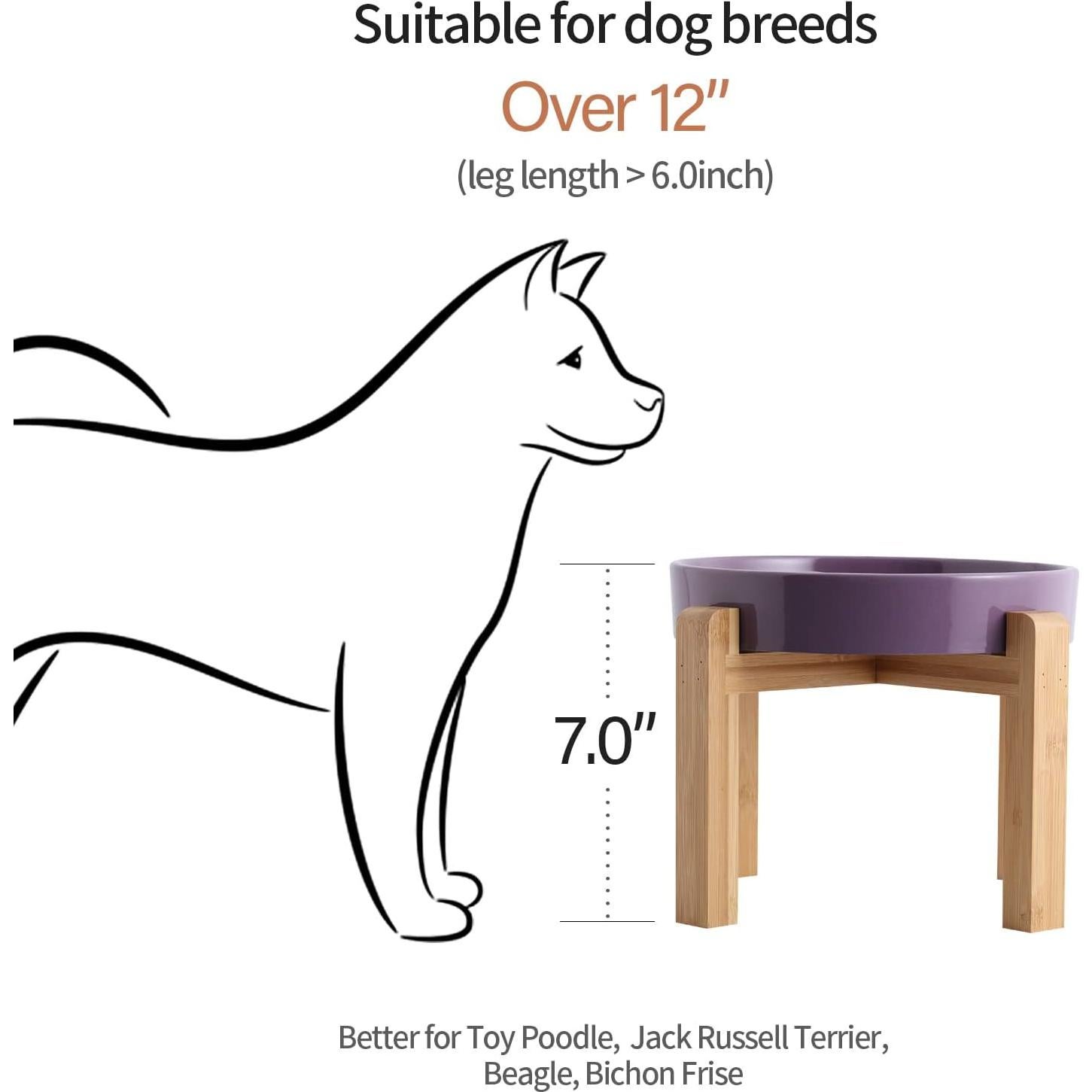 Cuenco Elevado para Perros Addogyy Morado Cerámica 22 cm