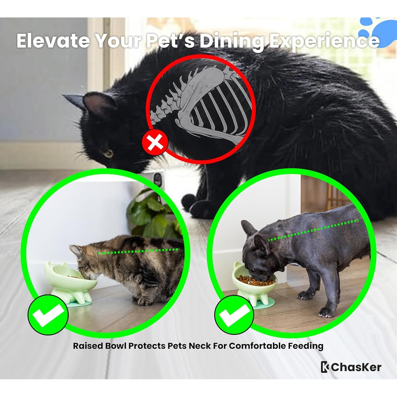 Cuenco de Alimentación Lenta Cerámica ChasKer 15cm Antideslizante