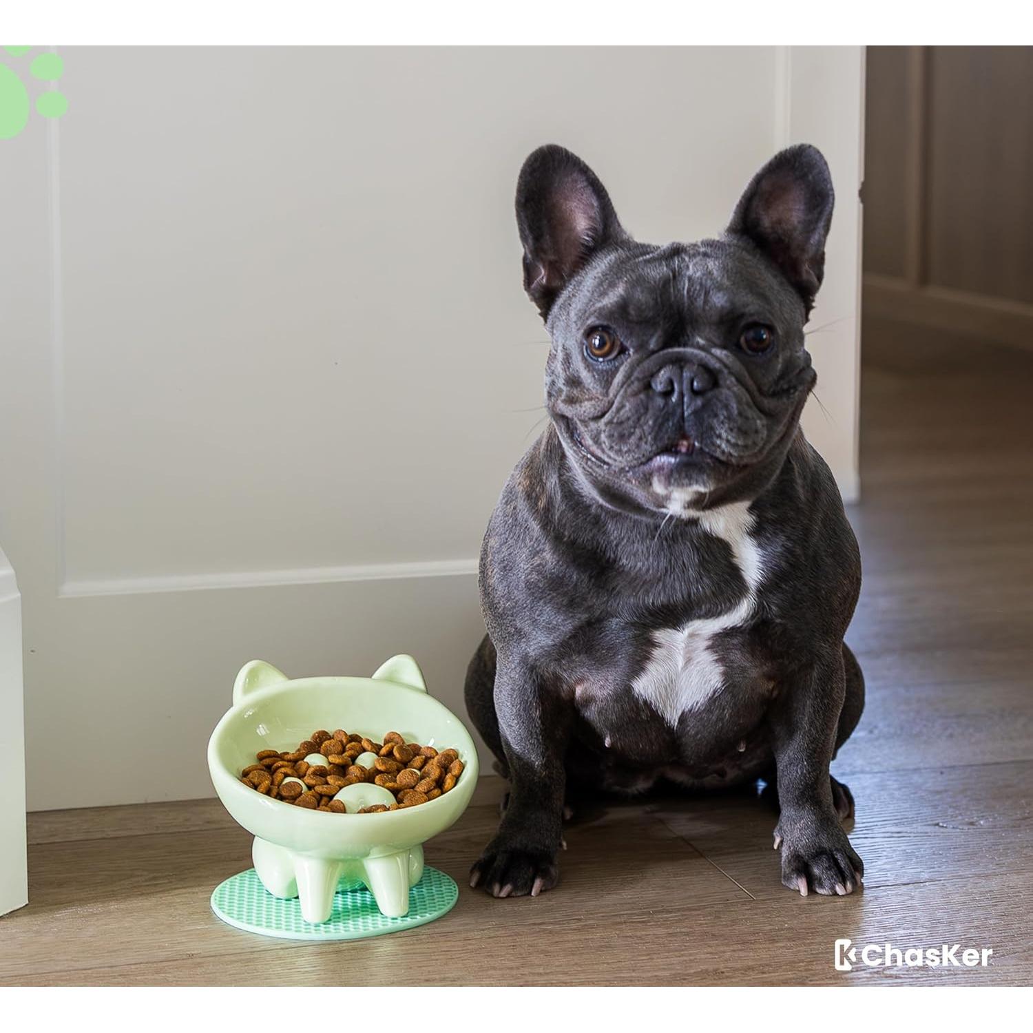 Cuenco de Alimentación Lenta Cerámica ChasKer 15cm Antideslizante