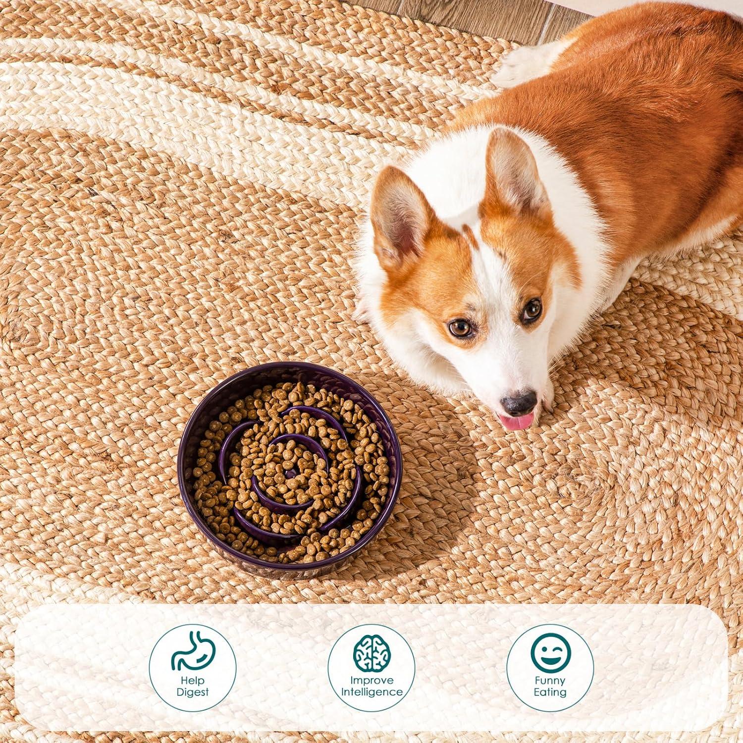 Cuenco Antideslizante Cerámico vancasso 1.5 Tazas para Perros