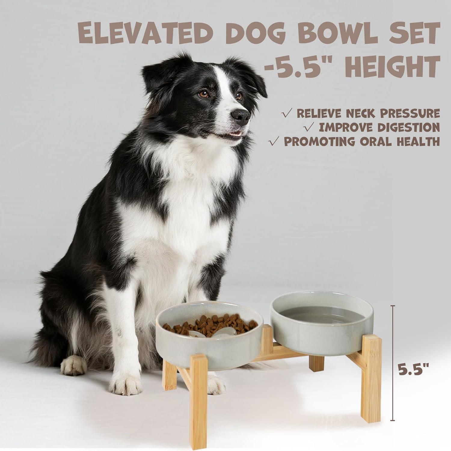 Elevated Slow Feeder Ceramic Dog Bowls Set for Meduim Size, Raised 2.7" Height, Cute Paw Slow Feeding Food Bowl and Water Bowl with Stand for Medium Breed, Size 6.3" Dx2 H, Non Slip, Grey