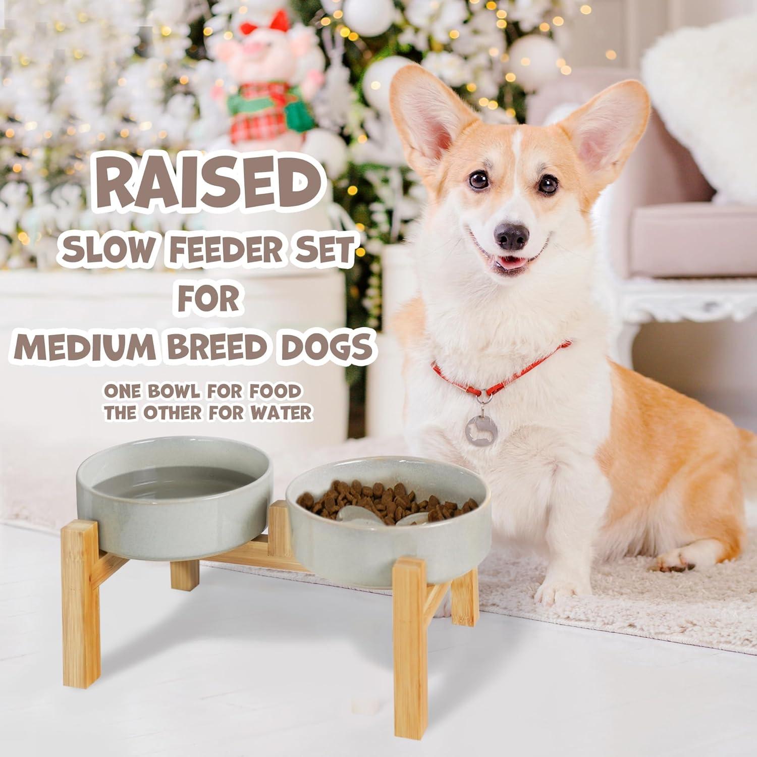 Elevated Slow Feeder Ceramic Dog Bowls Set for Meduim Size, Raised 2.7" Height, Cute Paw Slow Feeding Food Bowl and Water Bowl with Stand for Medium Breed, Size 6.3" Dx2 H, Non Slip, Grey