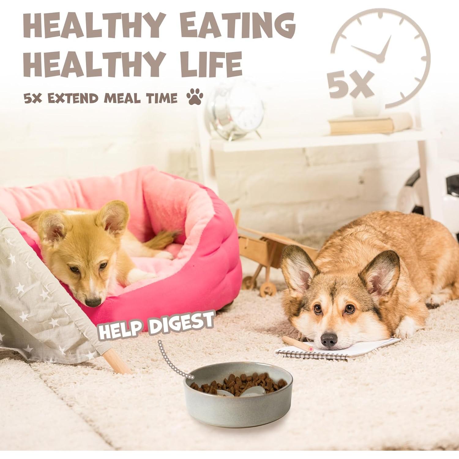 Elevated Slow Feeder Ceramic Dog Bowls Set for Meduim Size, Raised 2.7" Height, Cute Paw Slow Feeding Food Bowl and Water Bowl with Stand for Medium Breed, Size 6.3" Dx2 H, Non Slip, Grey