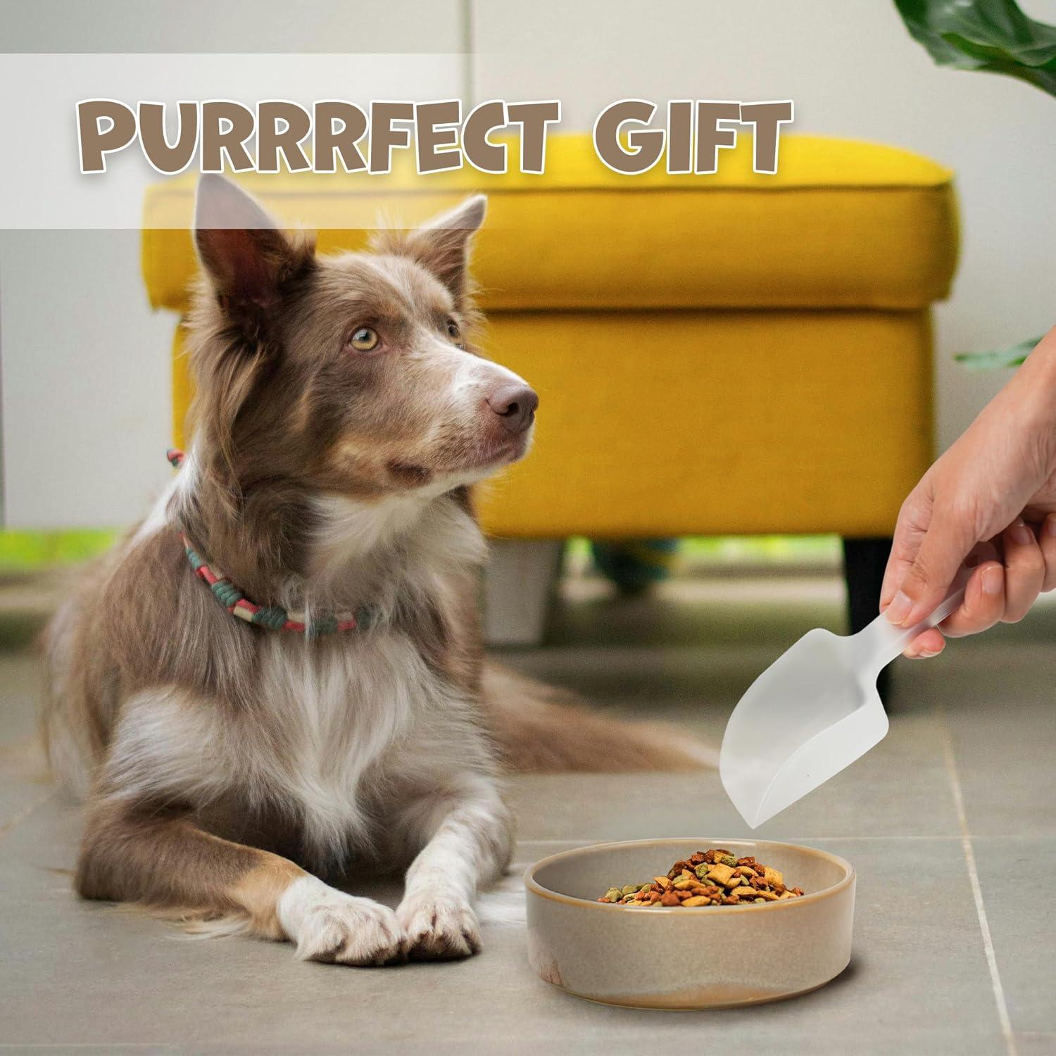 Elevated Slow Feeder Ceramic Dog Bowls Set for Meduim Size, Raised 2.7" Height, Cute Paw Slow Feeding Food Bowl and Water Bowl with Stand for Medium Breed, Size 6.3" Dx2 H, Non Slip, Grey