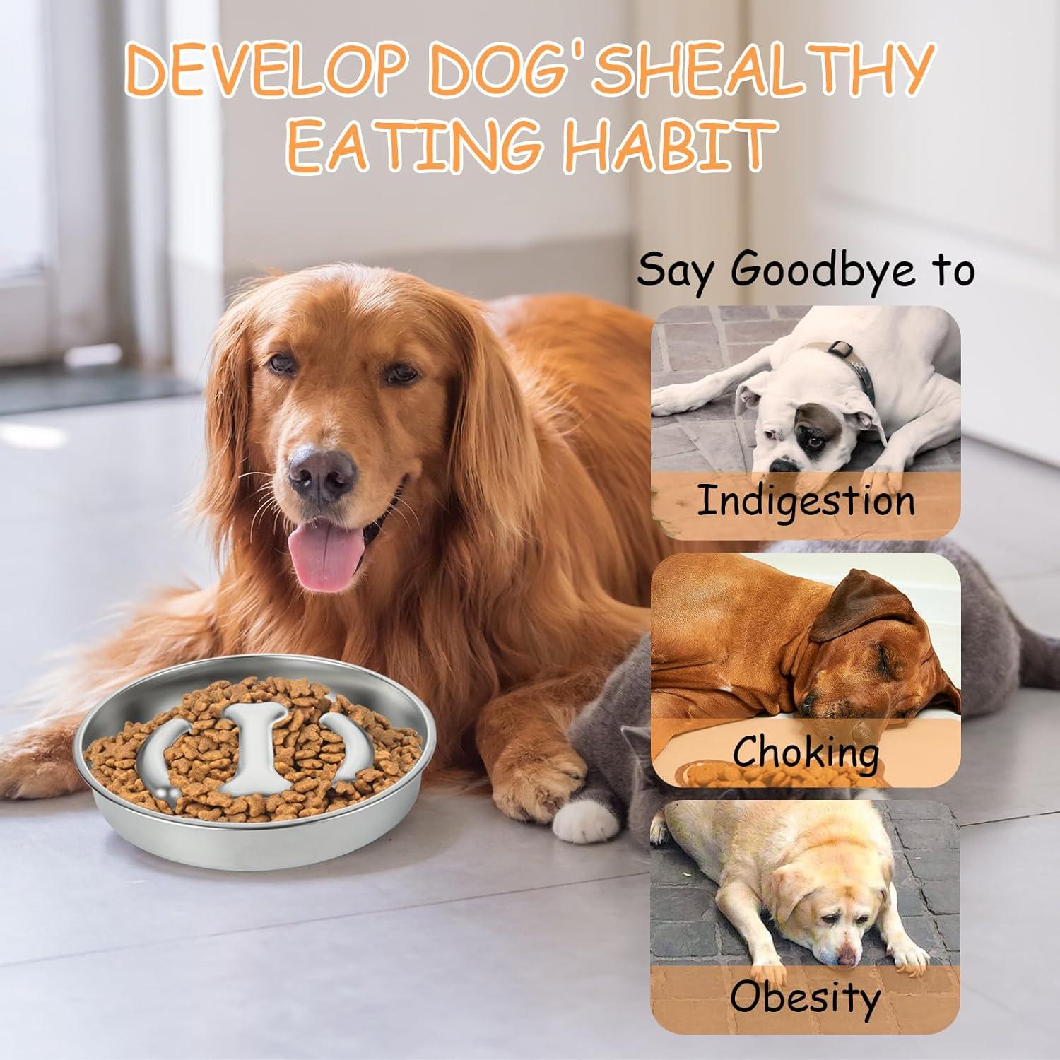 Cuenco Antideslizante para Perros LDXDRU 21.8cm Acero Inoxidable